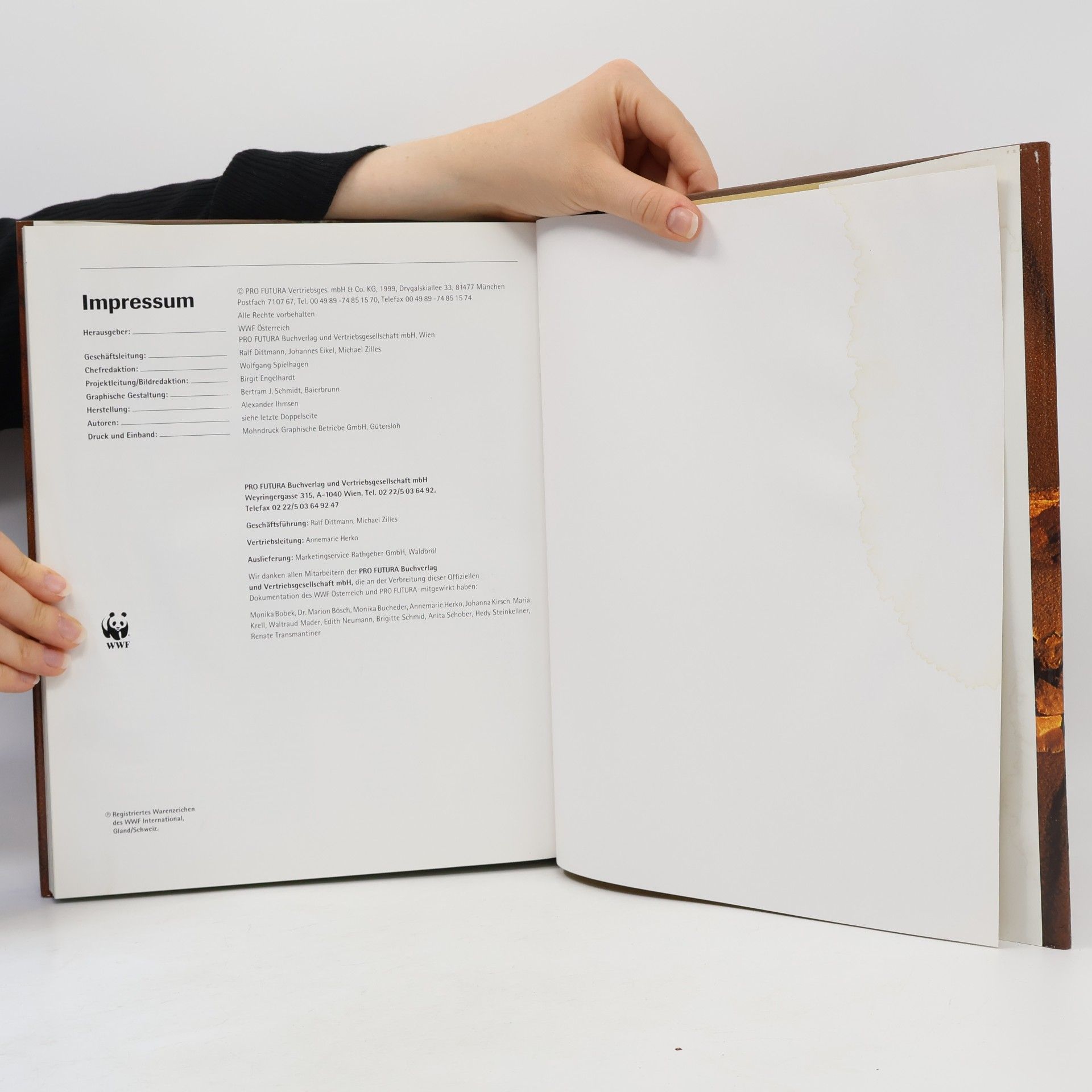 Autorenkollektiv Rhytmus des Lebens: Der Faktor Zeit in der Natur