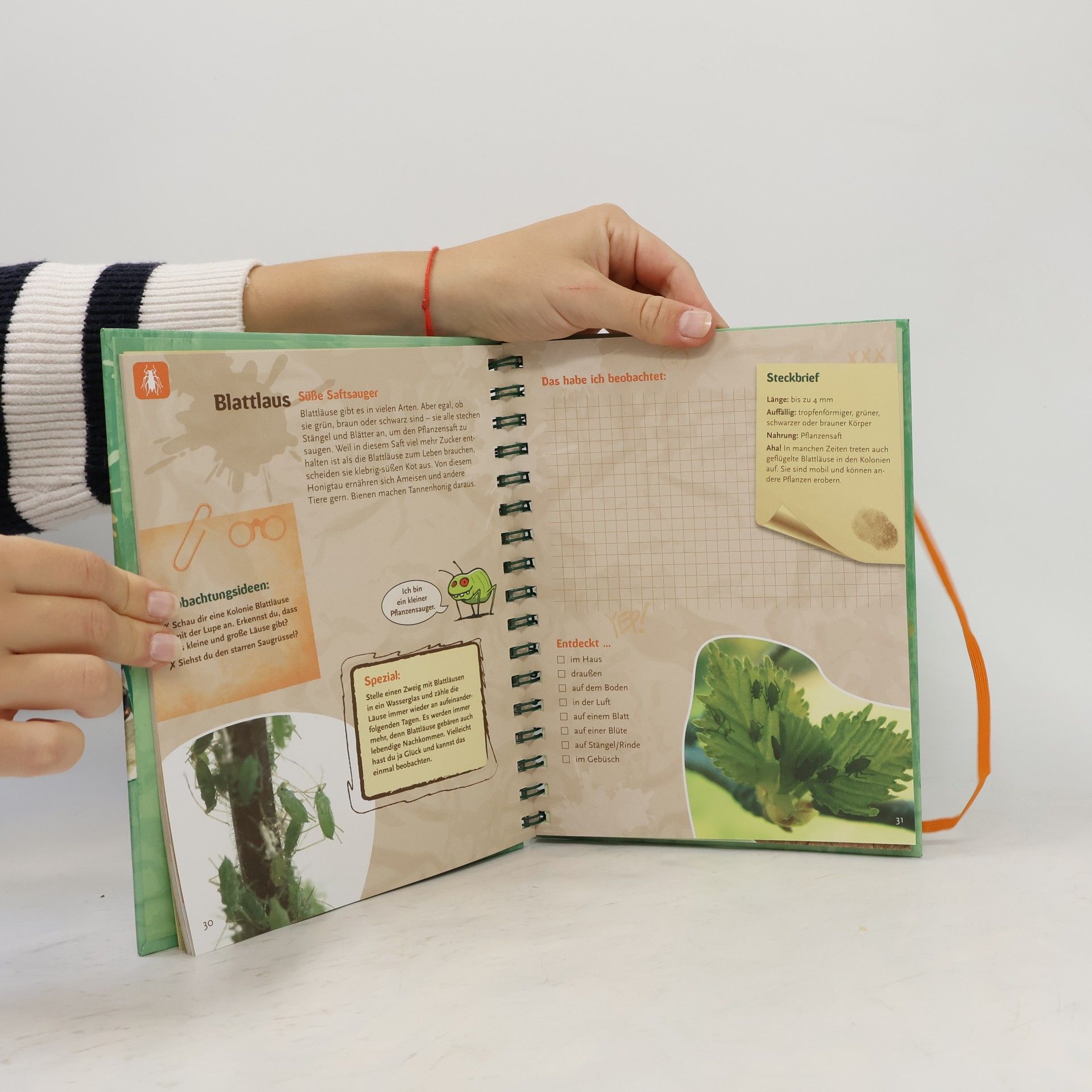 Bärbel Oftring Das Becherlupen-Forscherbuch
