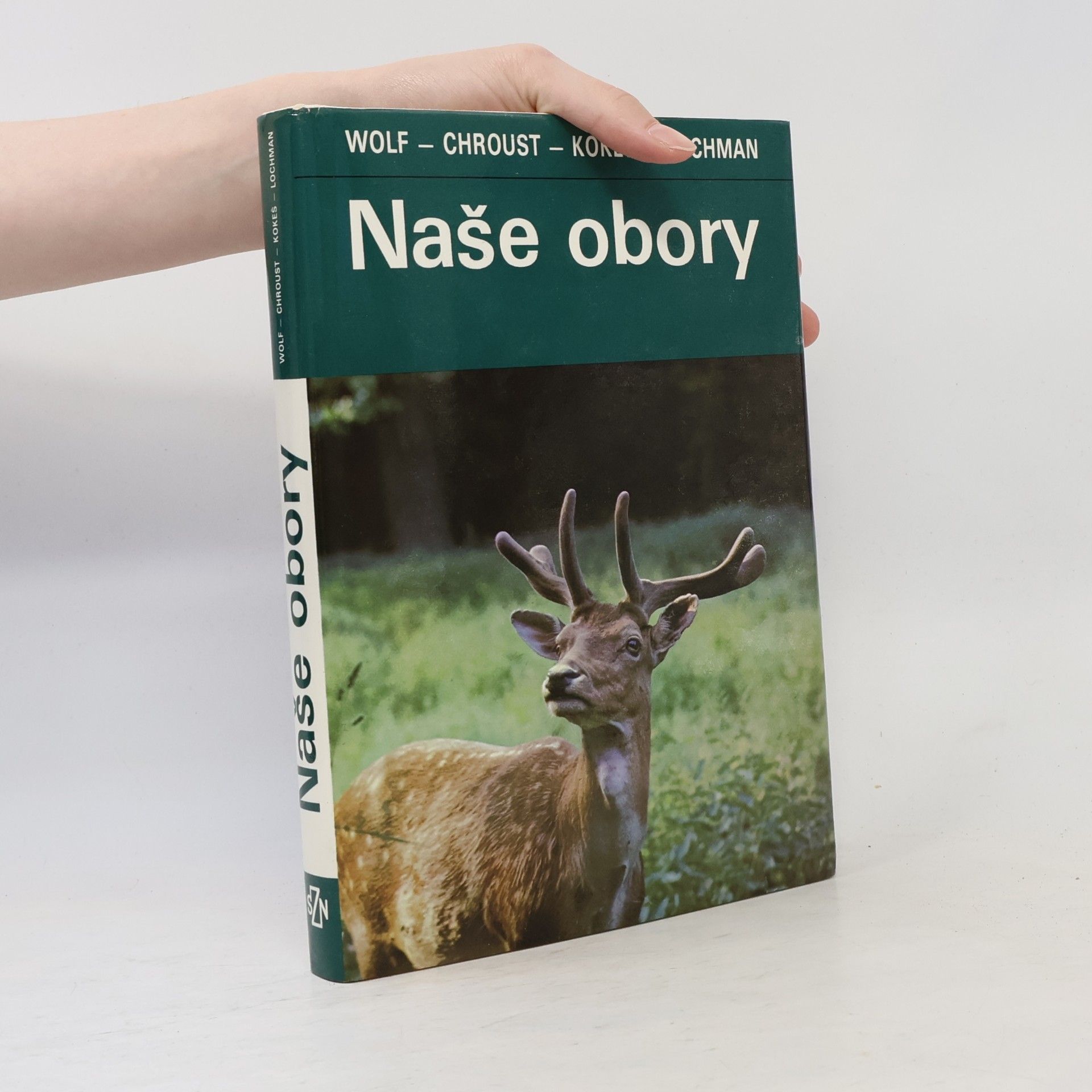 Robert Wolf Naše obory