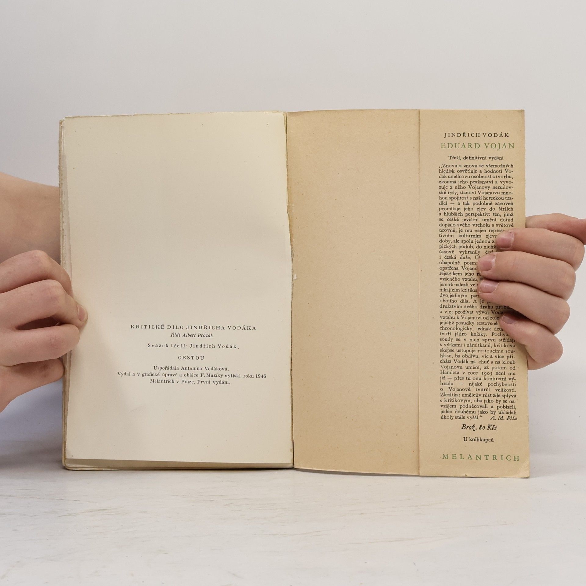 Jindřich Vodák Cestou