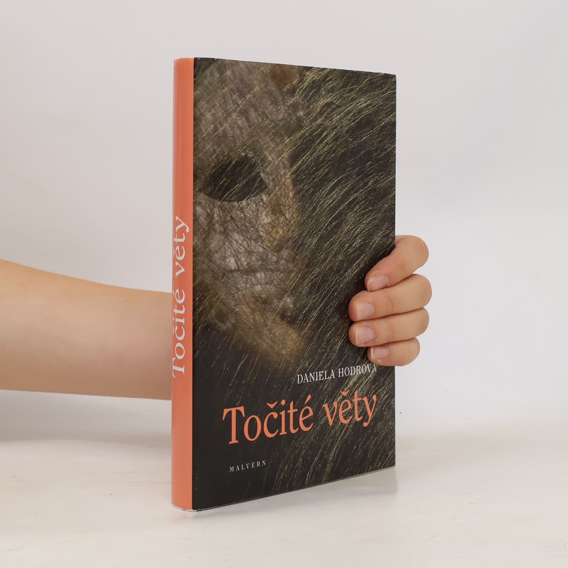Daniela Hodrova Točité věty