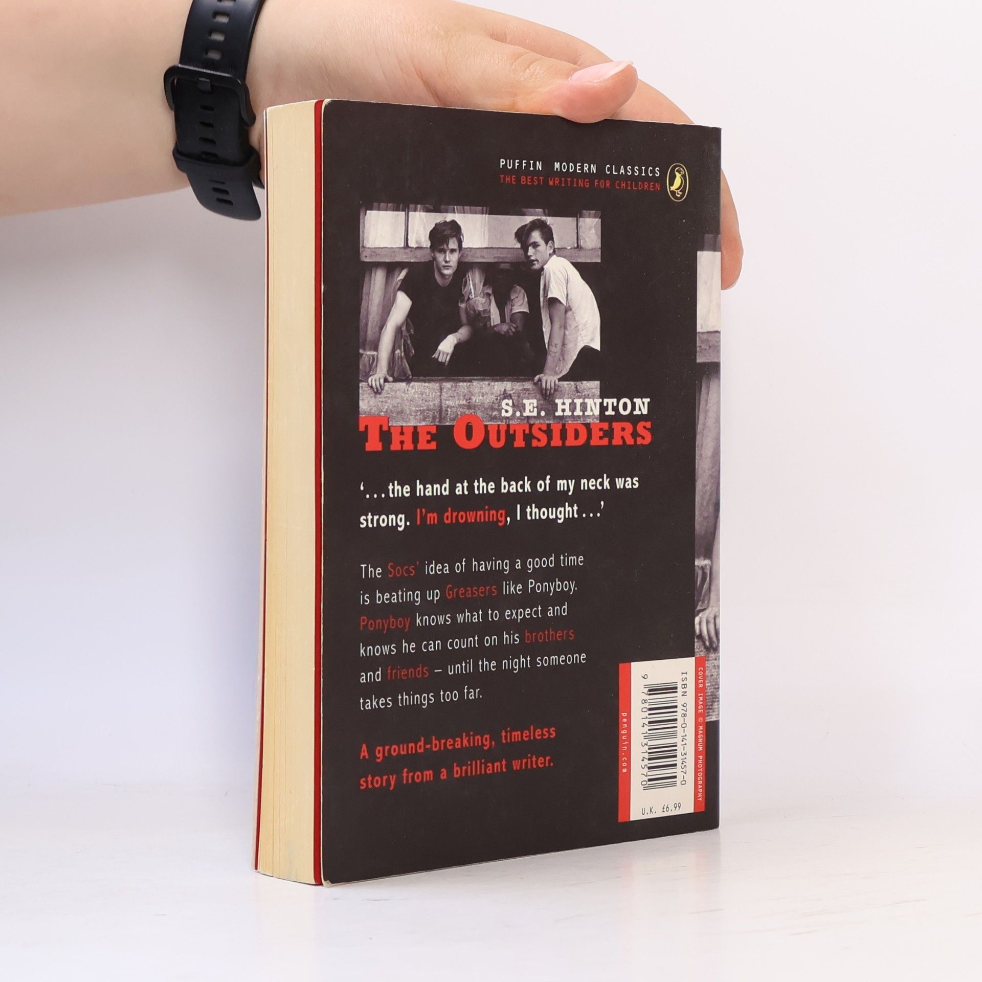 Susan E. Hinton Outsideři