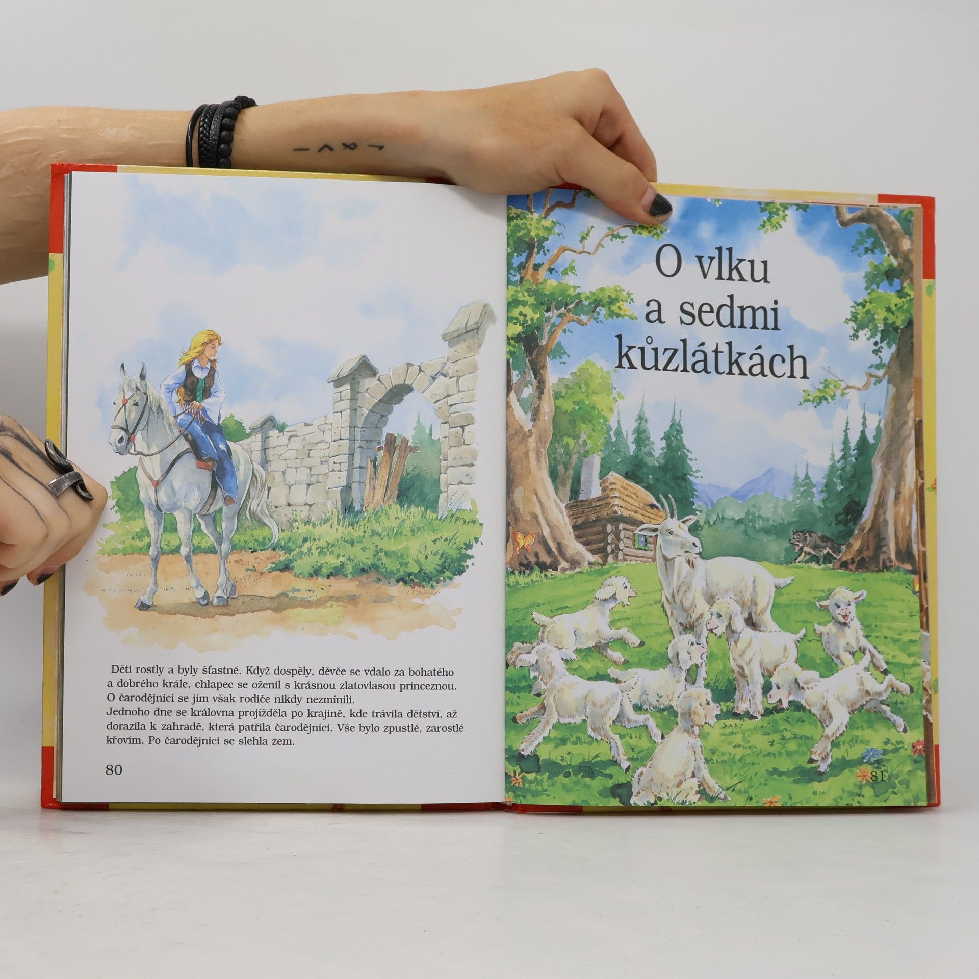 Jacob Grimm Nejkrásnější pohádky: Na každý den