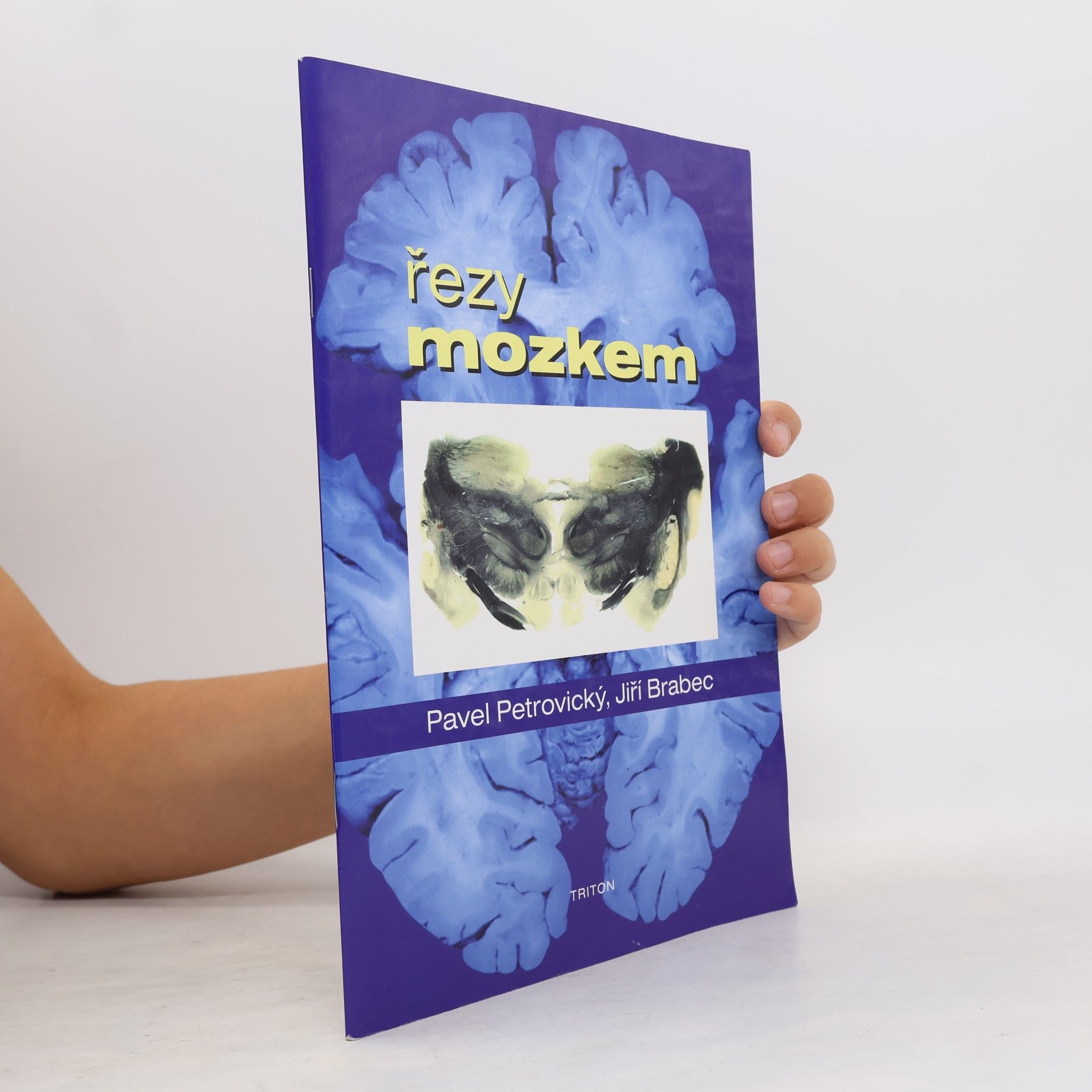 Jiří Brabec Řezy mozkem