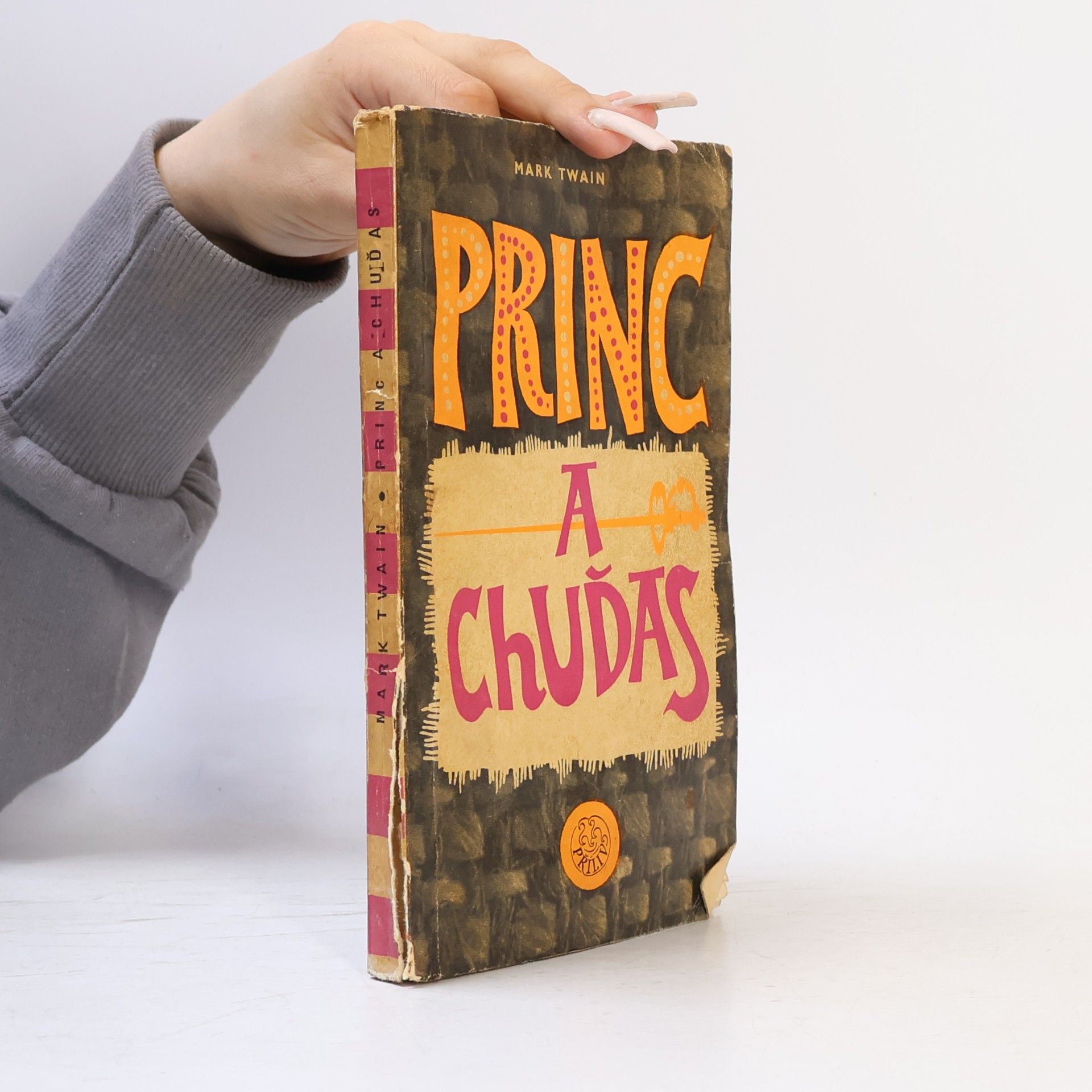 Mark Twain Princ a chuďas