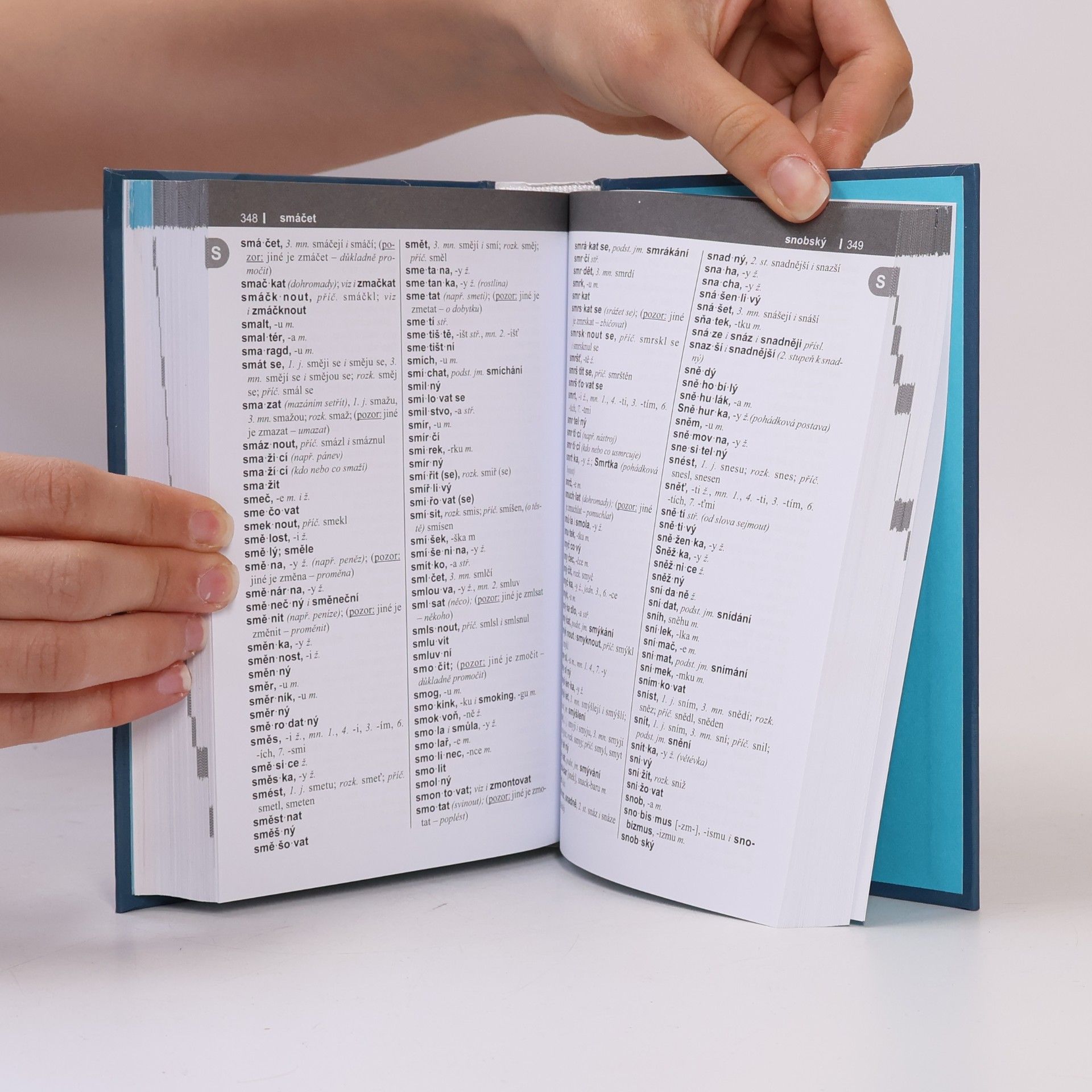 Autorenkollektiv Pravidla českého pravopisu