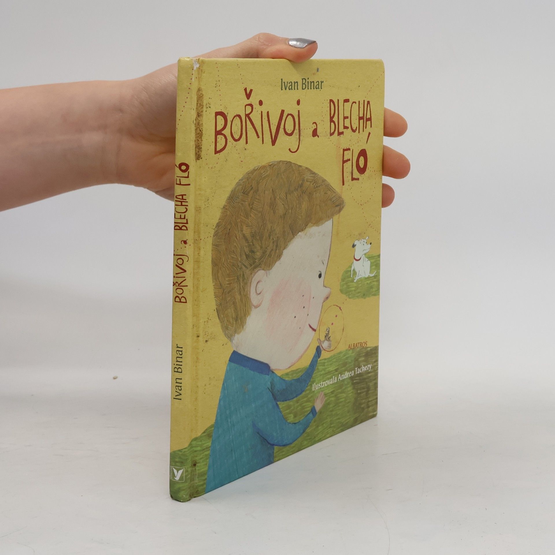 Bořivoj a Blecha Fló