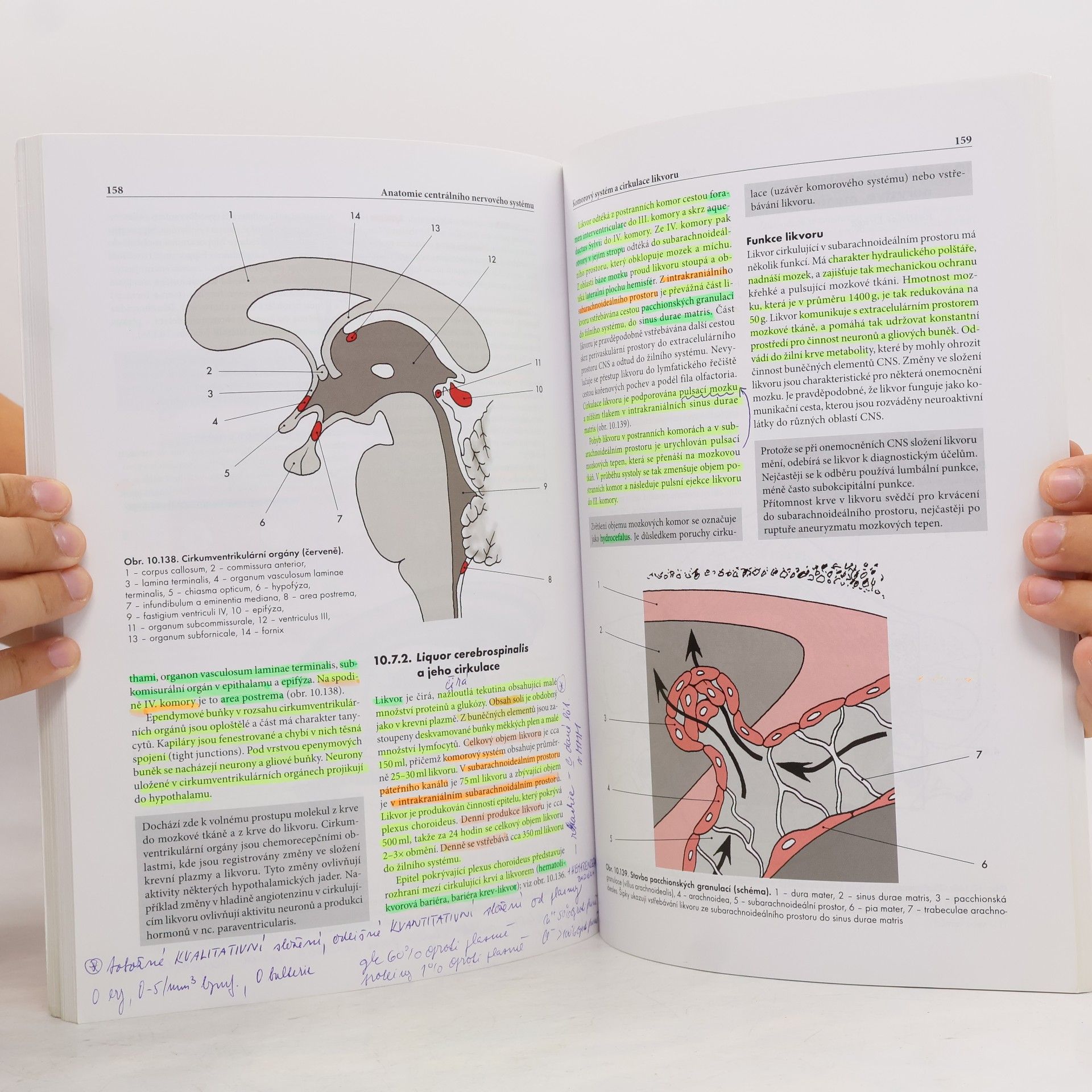 Miloš Grim Základy anatomie. 4a., Centrální nervový systém