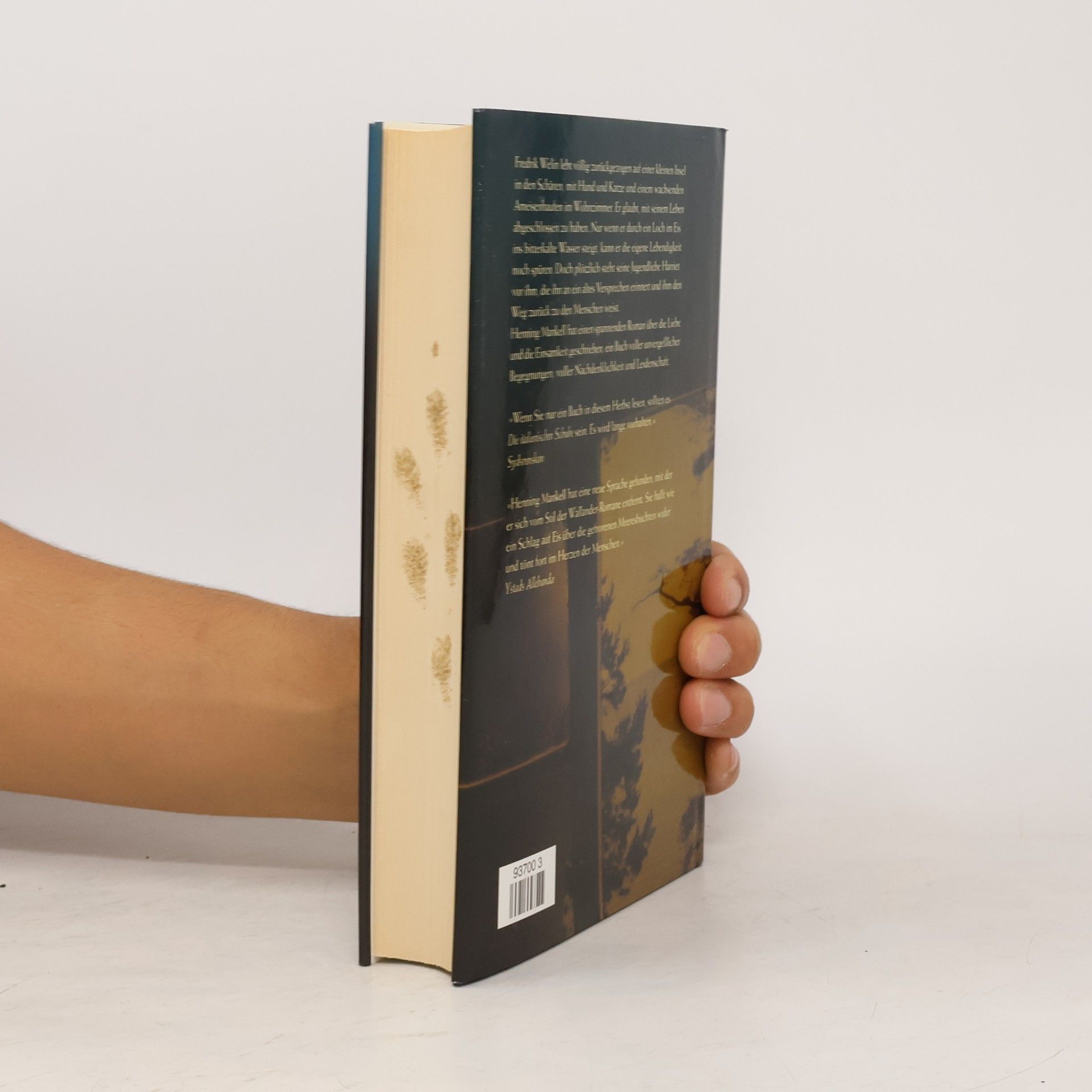 Henning Mankell Die italienischen Schuhe