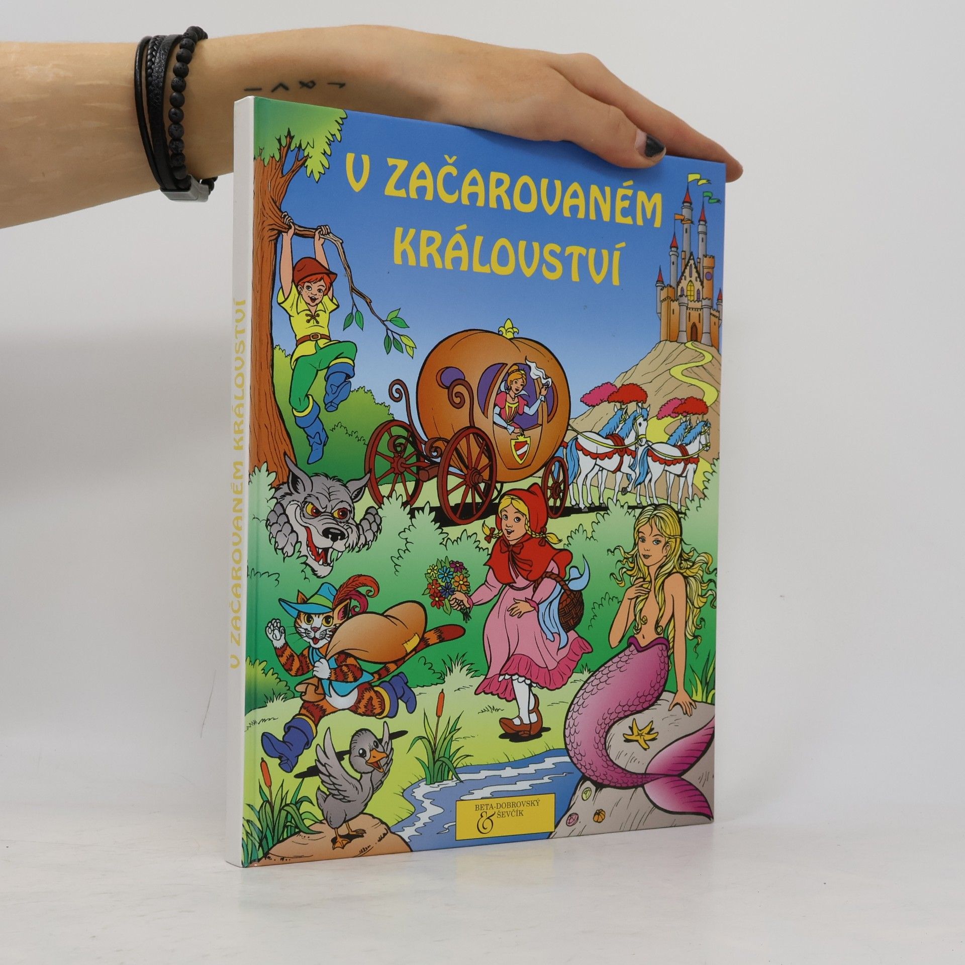 Autorenkollektiv V začarovaném království