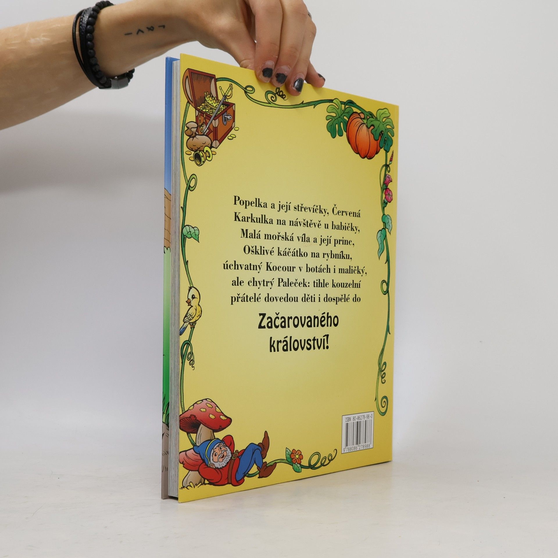 Kolektiv autorů V začarovaném království