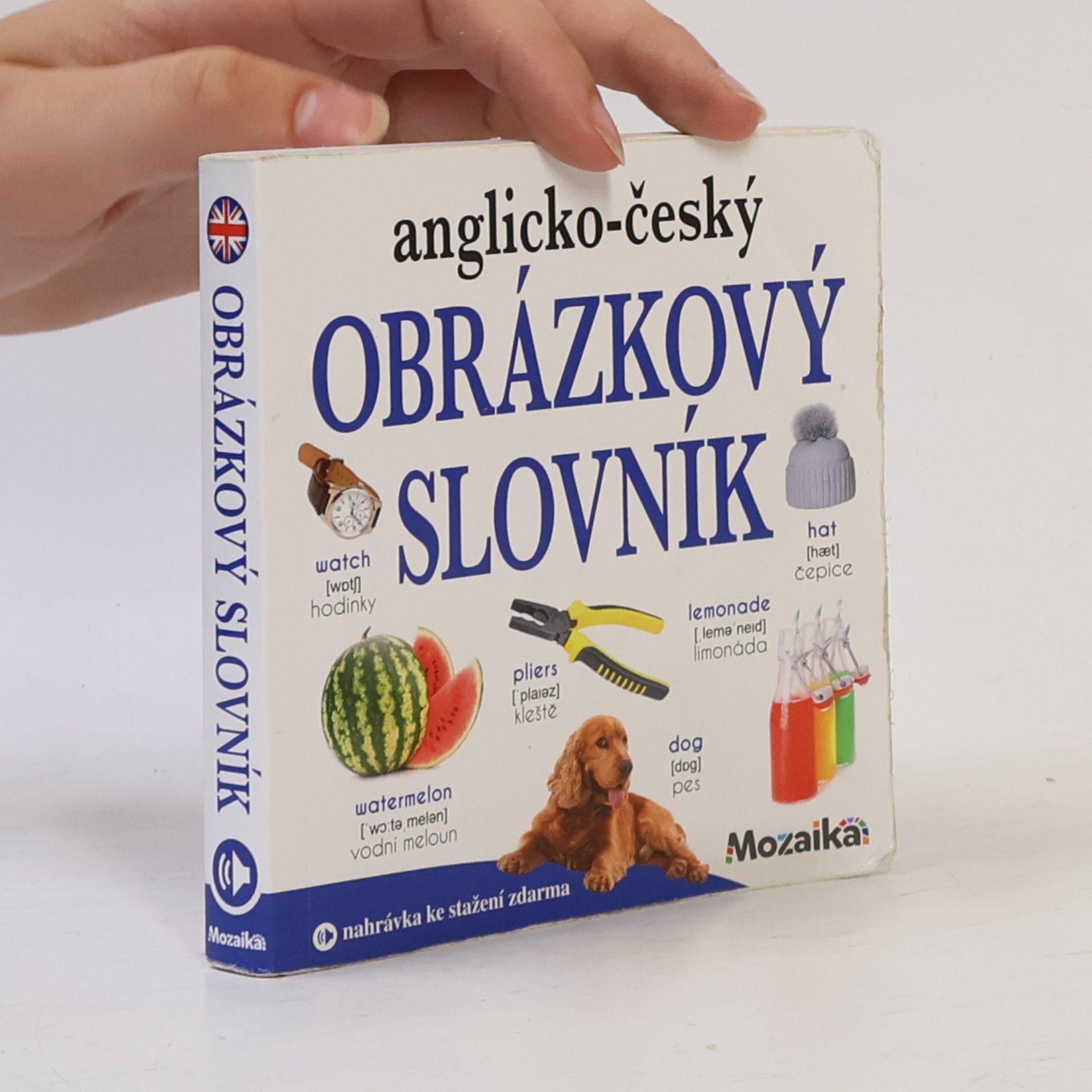 AA.VV. Anglicko-český obrázkový slovník Obrázkový slovník