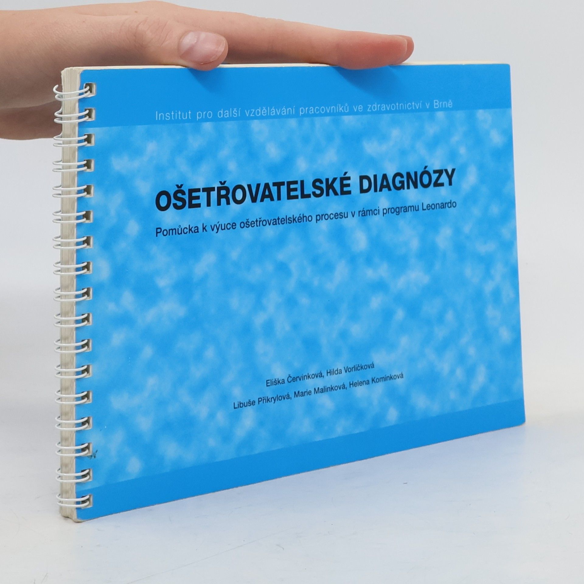 Autorenkollektiv Ošetřovatelské diagnózy. Pomůcka k výuce ošetřovatelského procesu v rámci programu Leonardo
