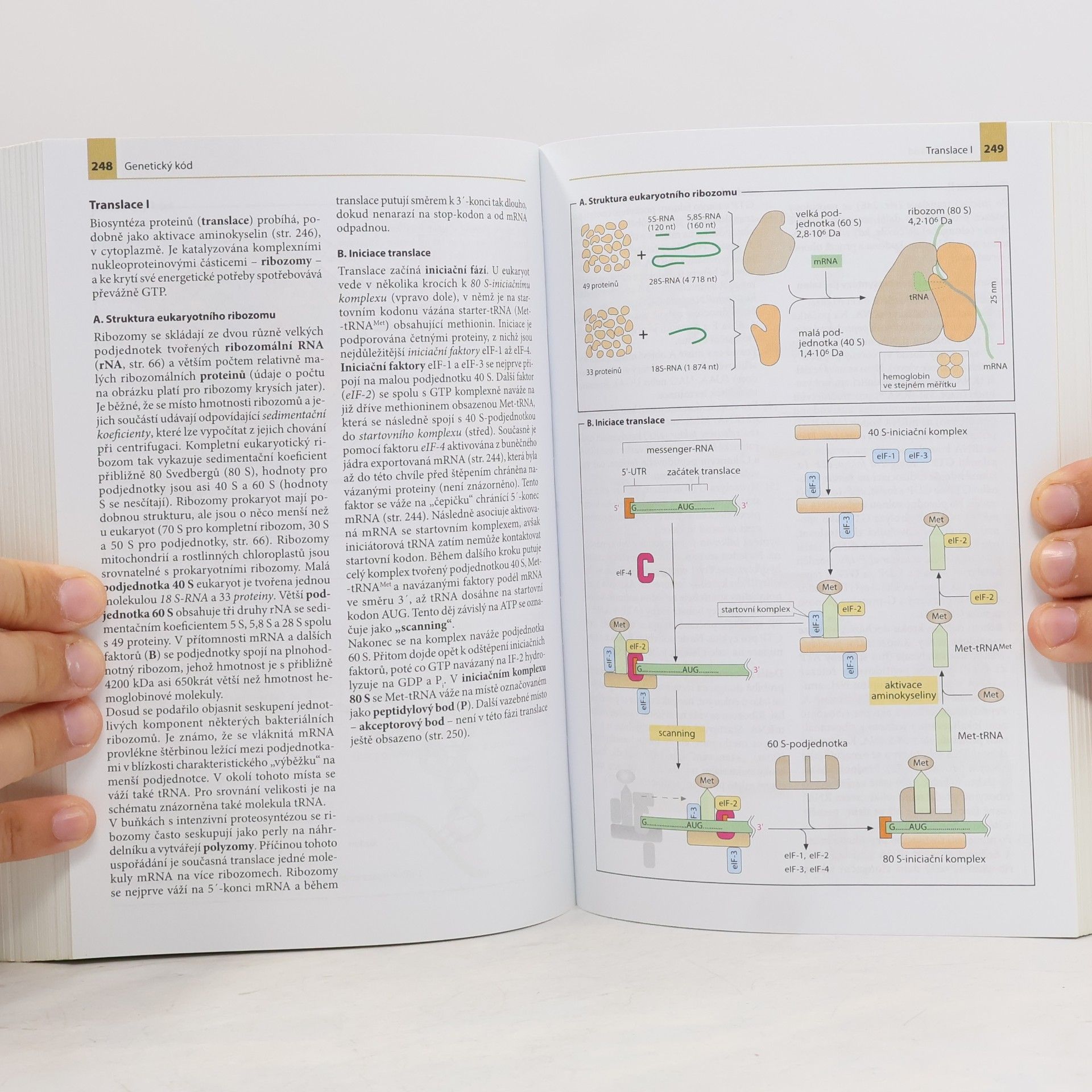 Jan Koolman Barevný atlas biochemie