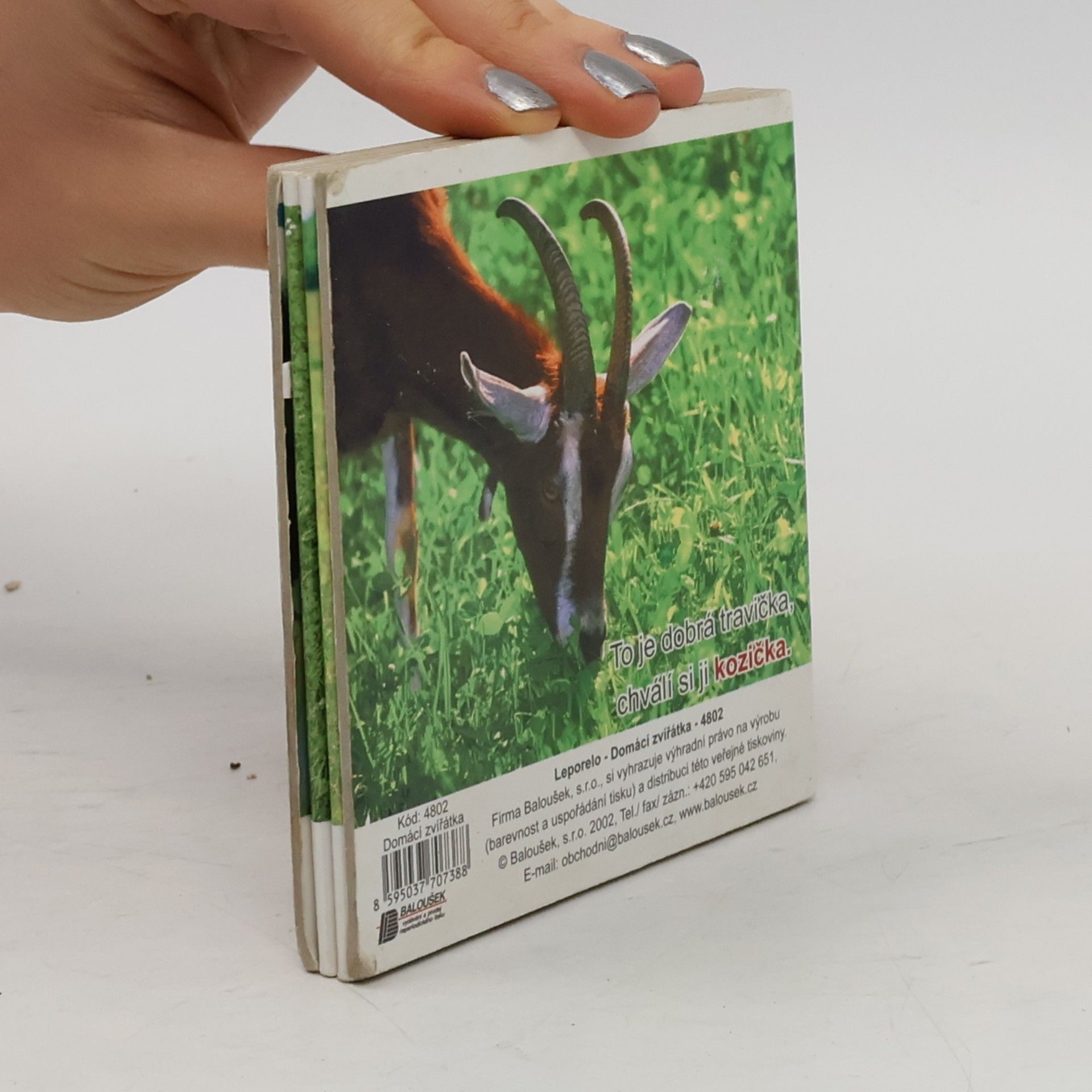 Autorenkollektiv Domácí zvířátka - leporelo