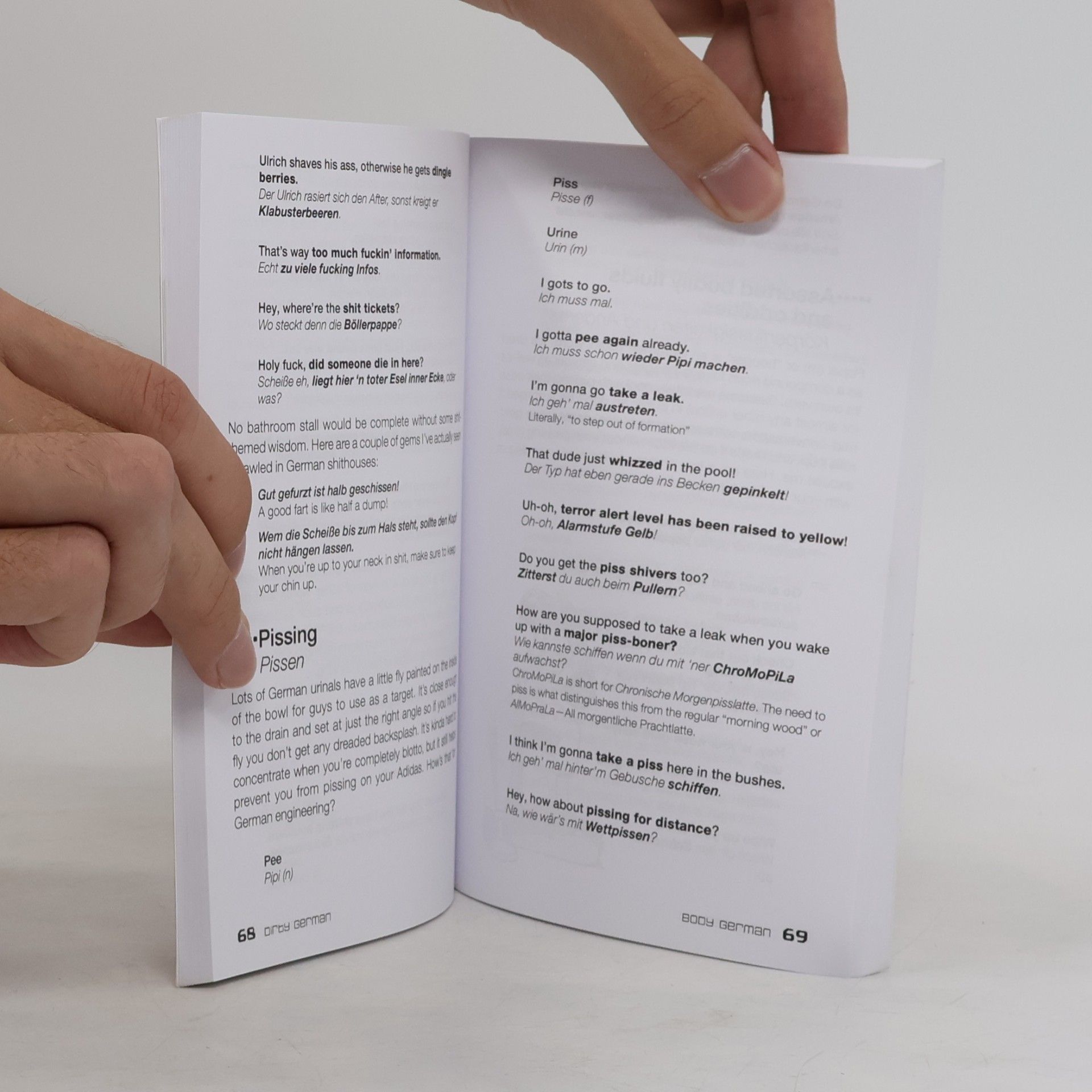 Daniel Chaffey Dirty German : everyday slang from what's up? to f*** off!