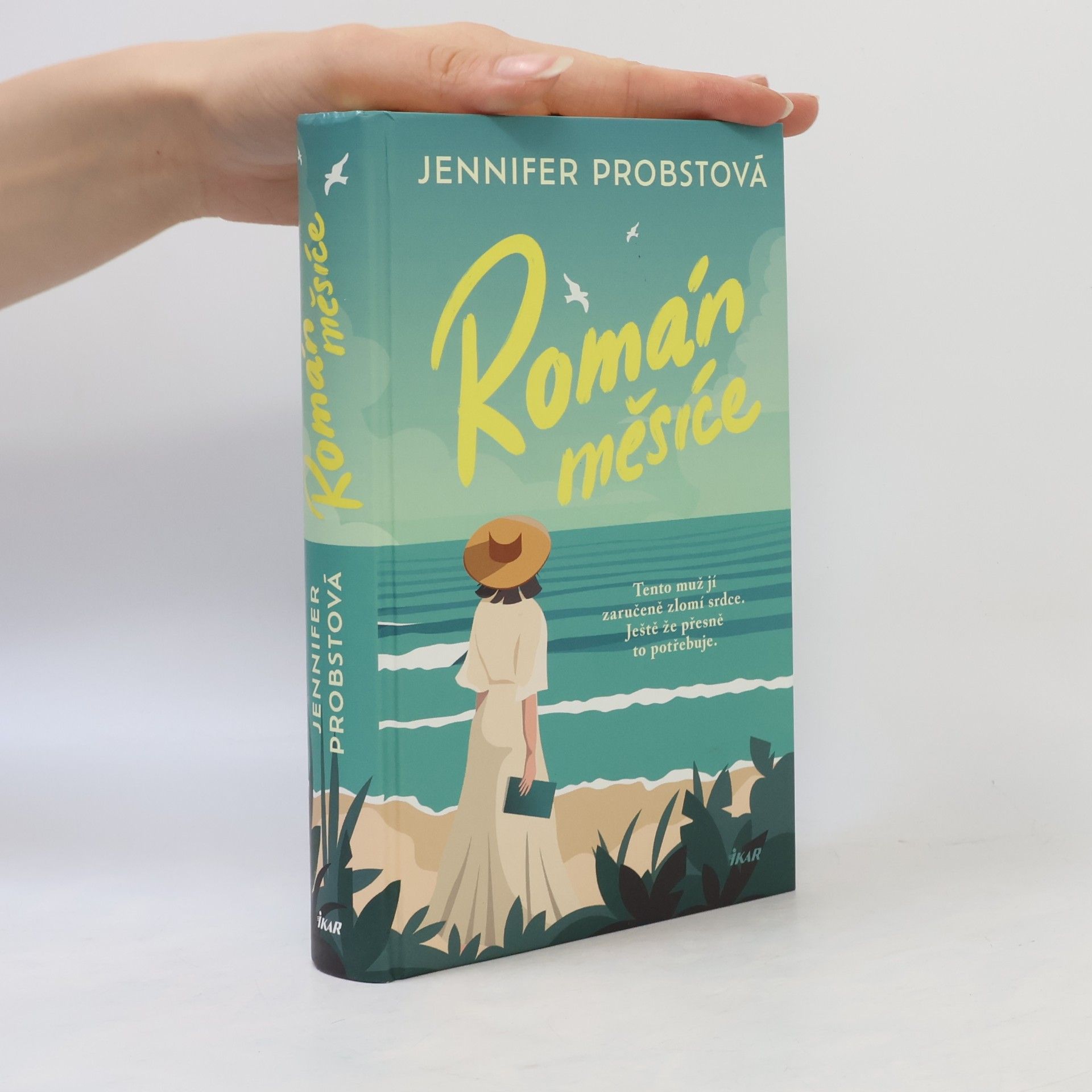 Román měsíce
