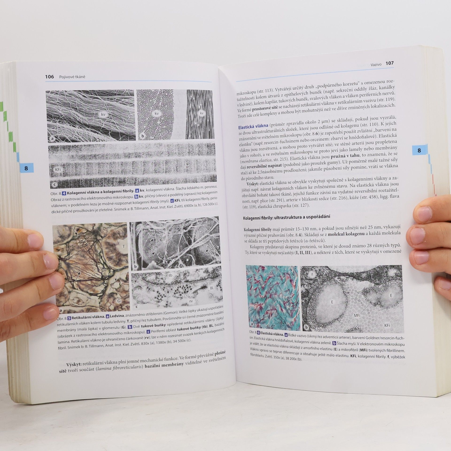 Renate Lüllmann-Rauch Histologie
