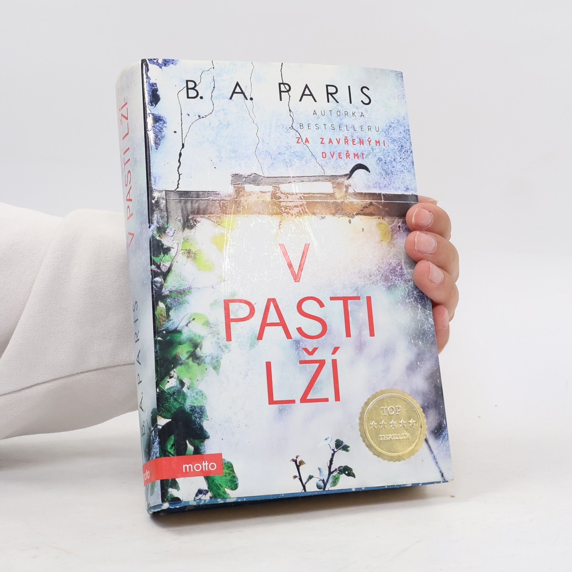 B.A. Paris V pasti lží