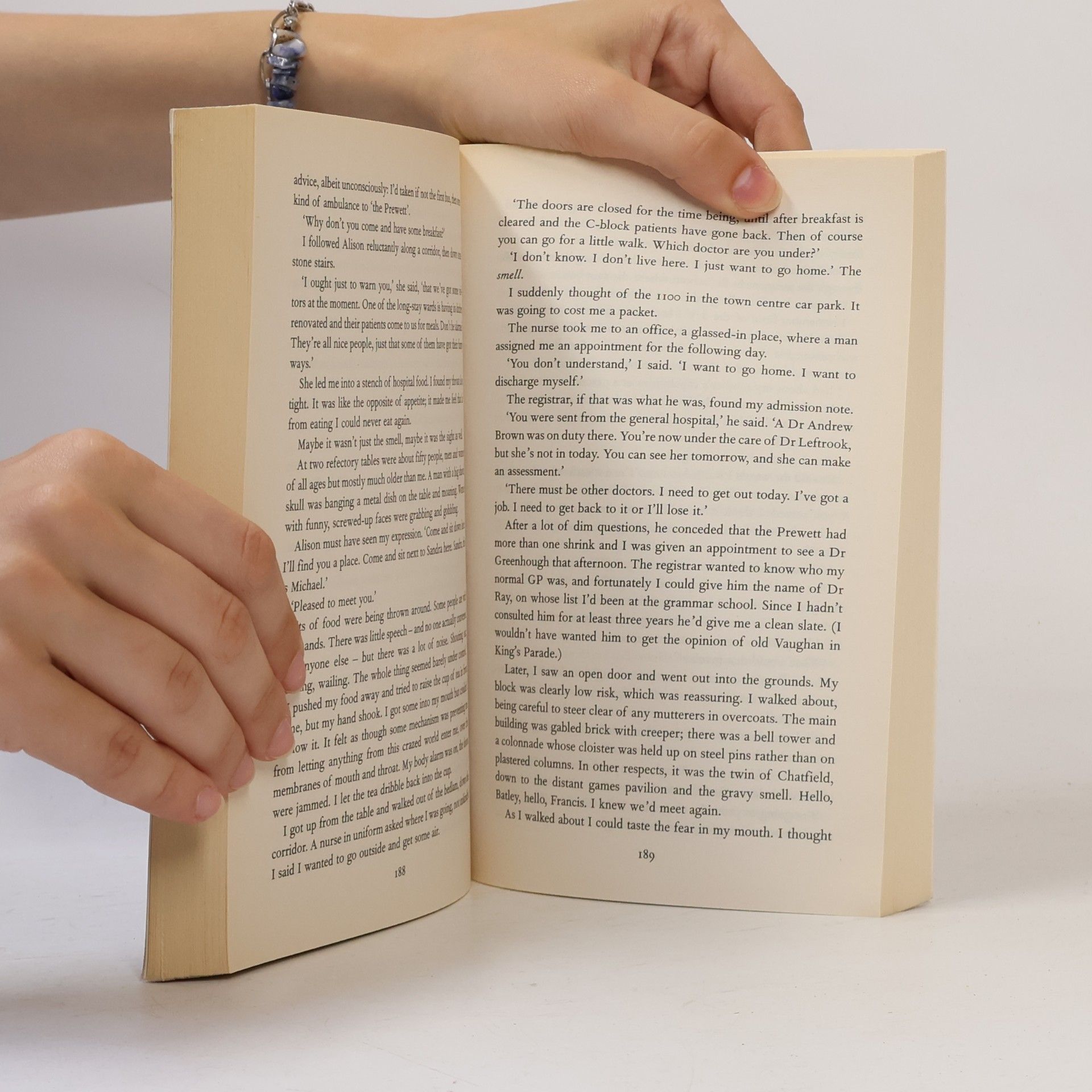 Sebastian Faulks Engleby