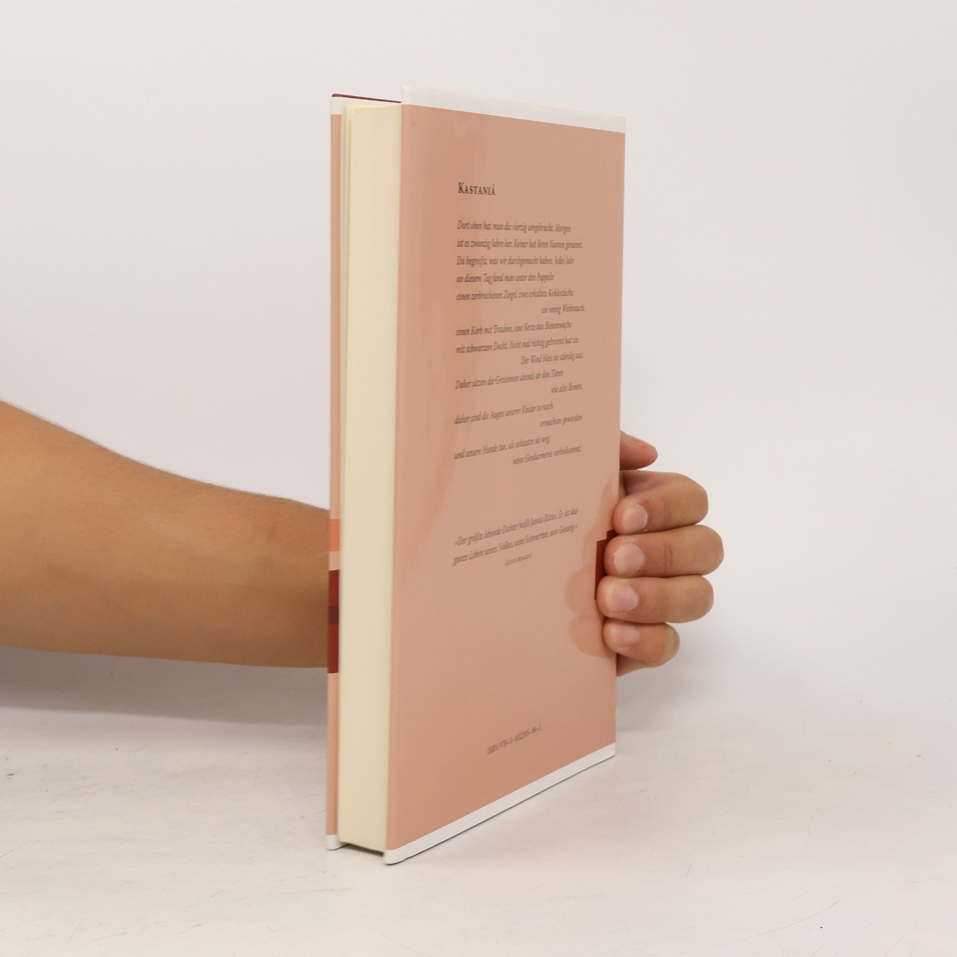 Yannis Ritsos Kleine Griechische Bibliothek: Martyries - Zeugenaussagen