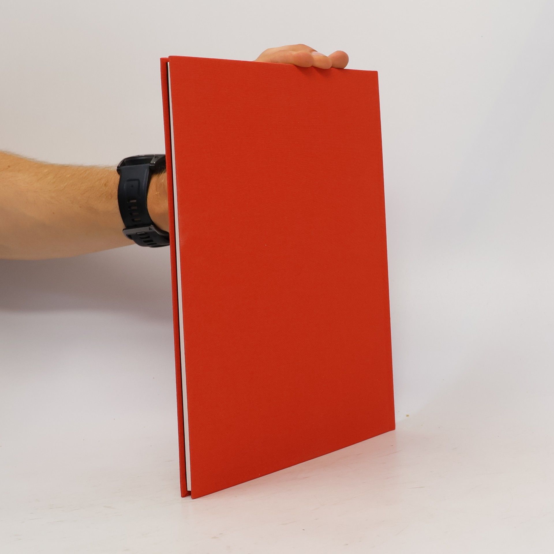Autores varios Tono Stano. Brusel