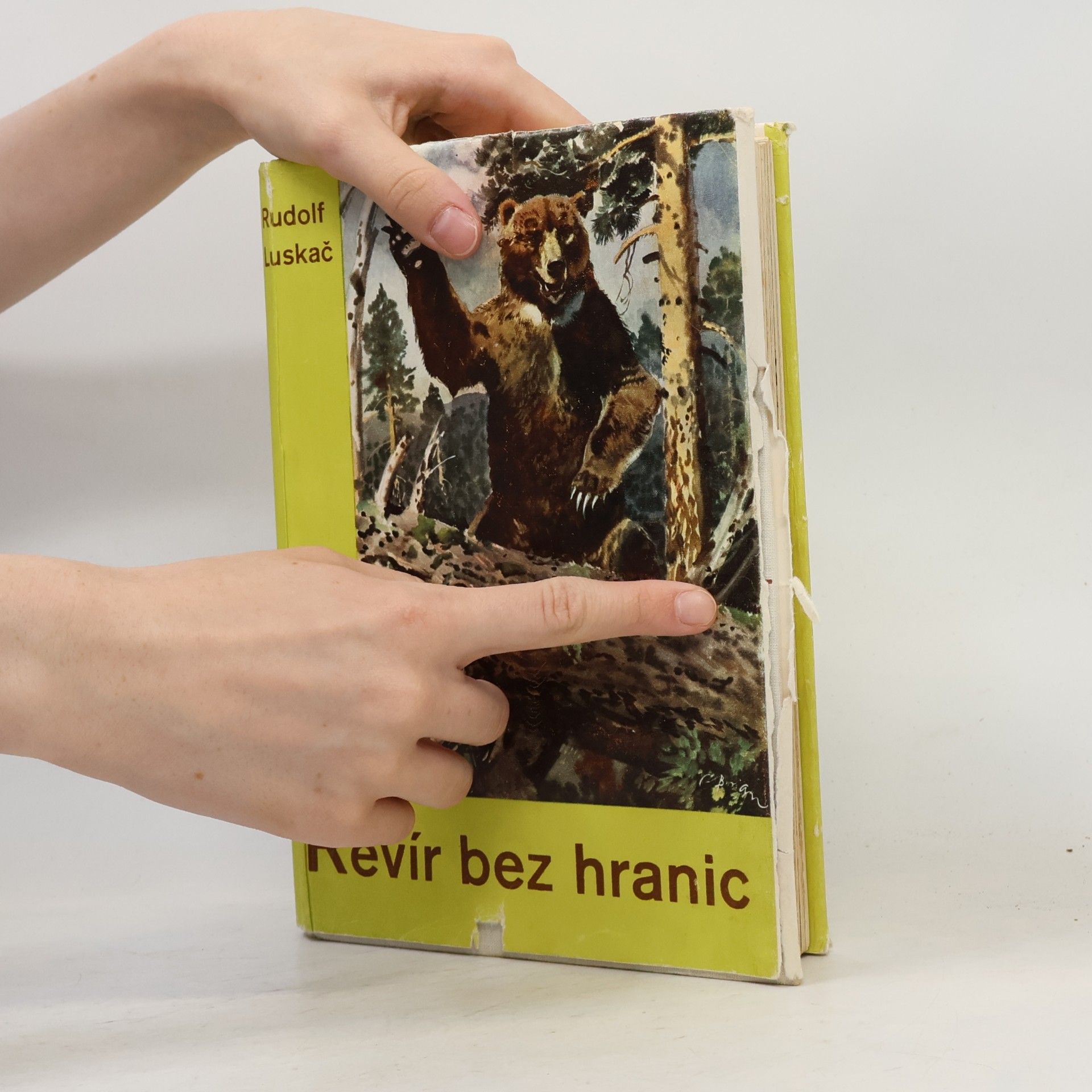 Rudolf Luskač Revír bez hranic