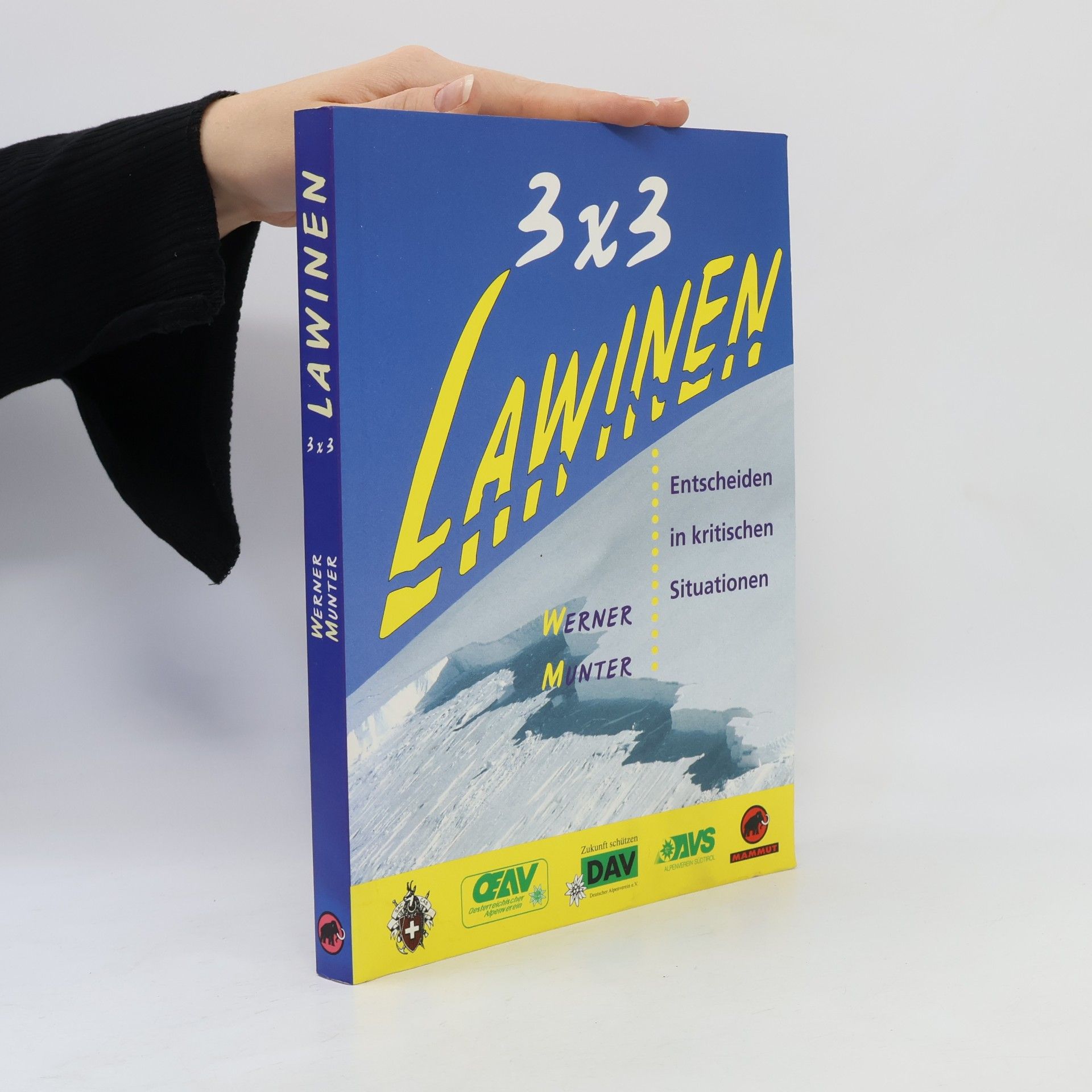 Werner Munter 3 x 3 Lawinen