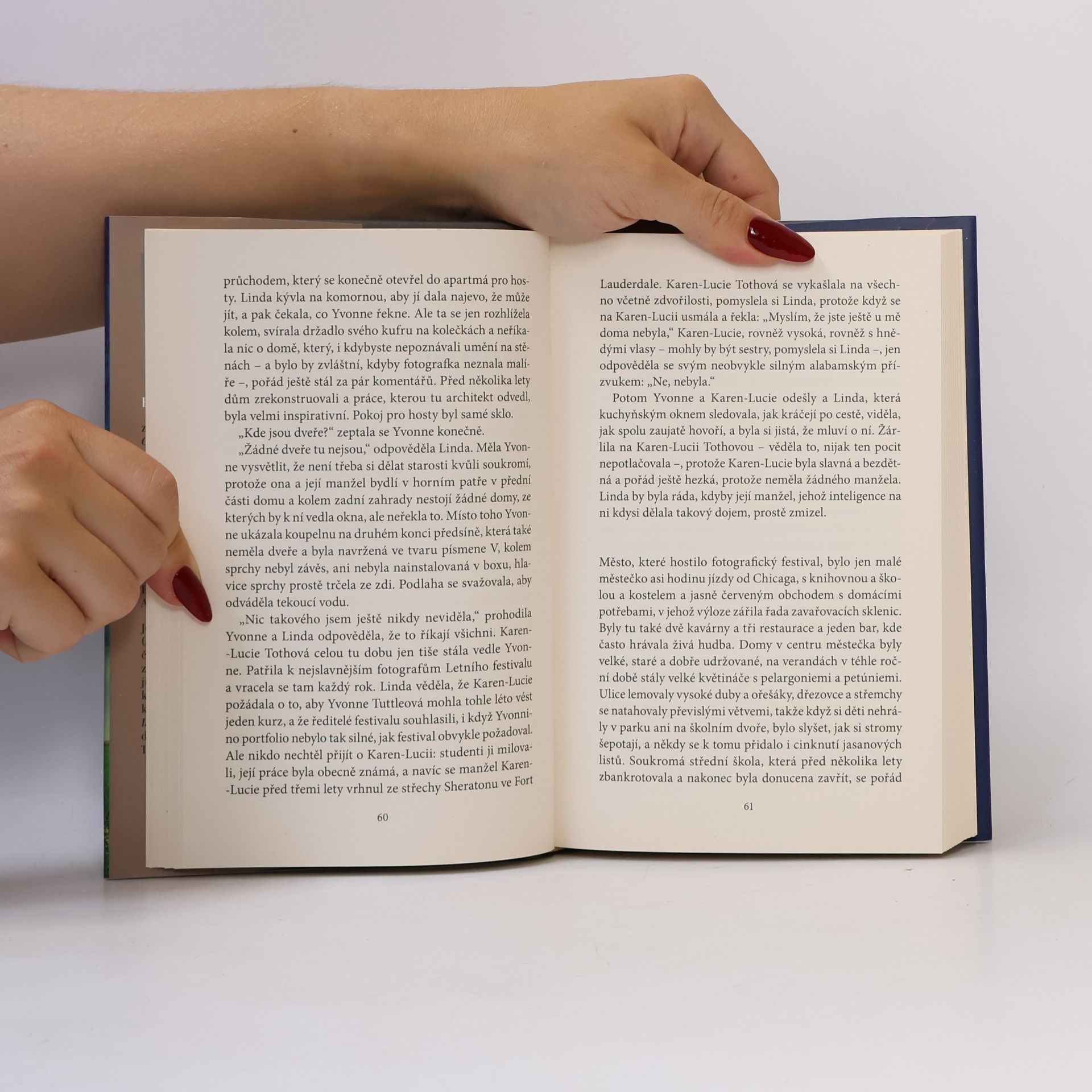 Elizabeth Strout Všechno je možné