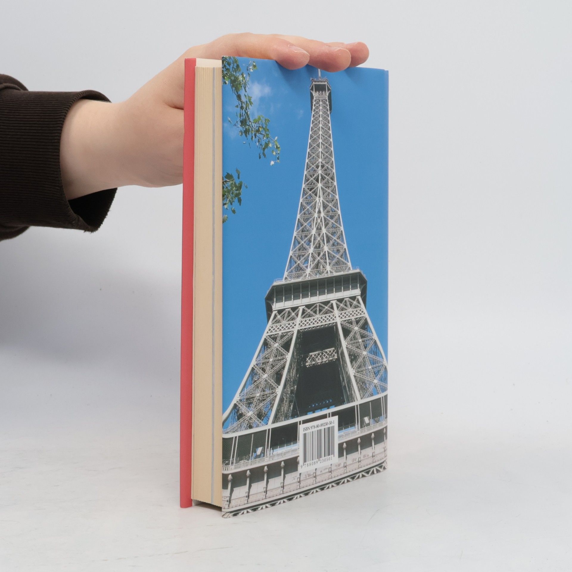 Mária Dopjerová Danthine Paríž - moja láska, môj život