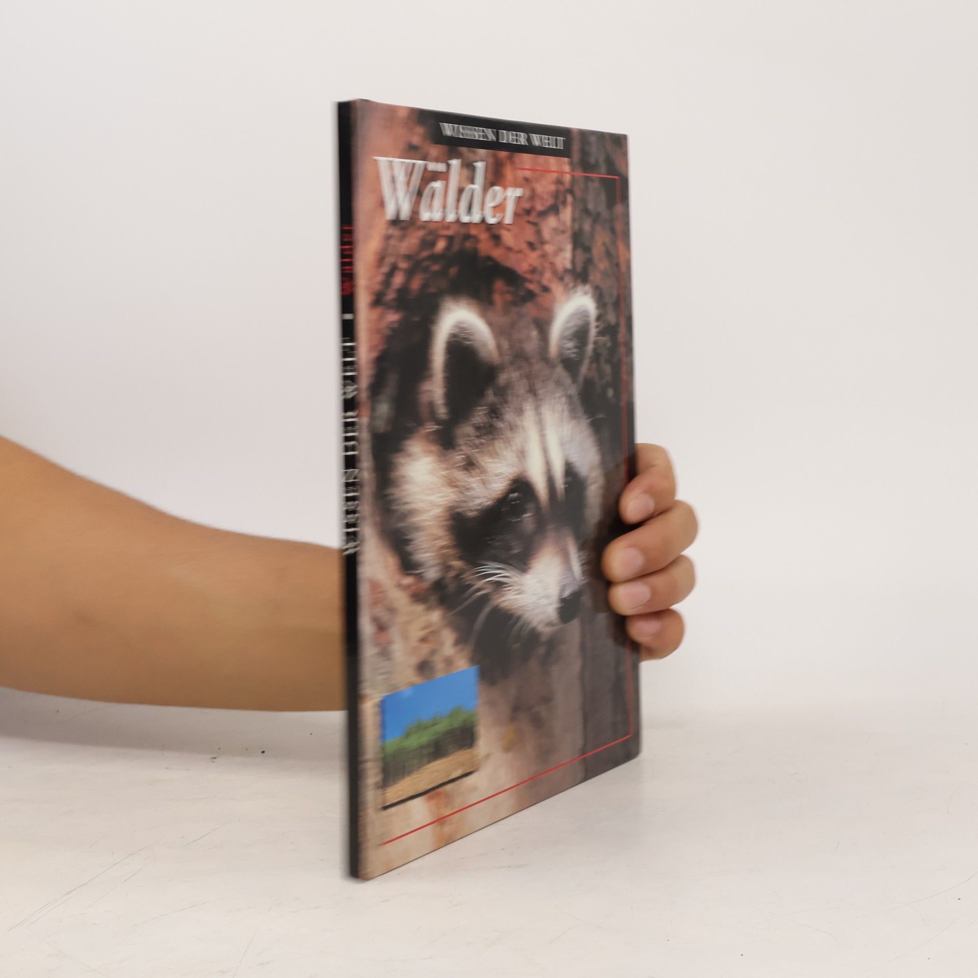 Kolektív autorov Wissen der Welt. Wälder