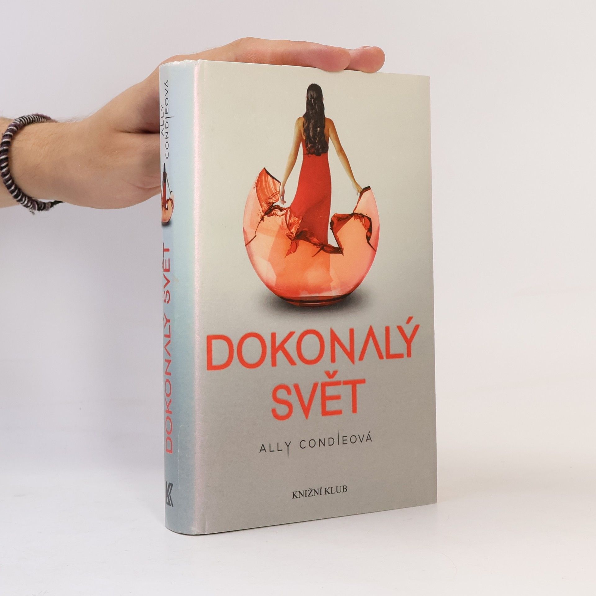 Allyson Braithwaite Condie Dokonalý svět