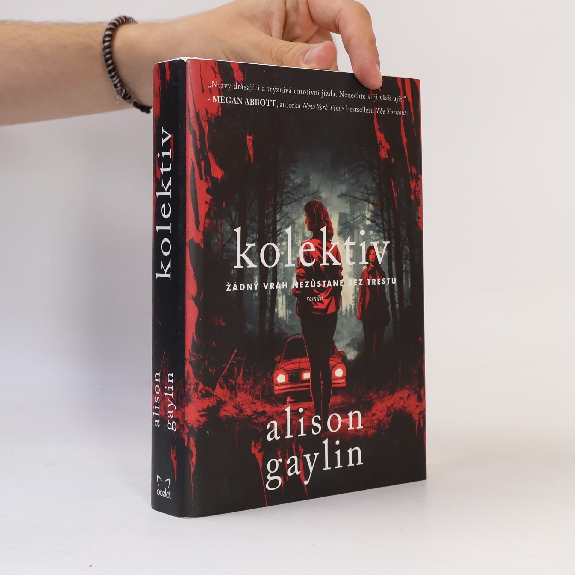 Alison Gaylin Kolektiv