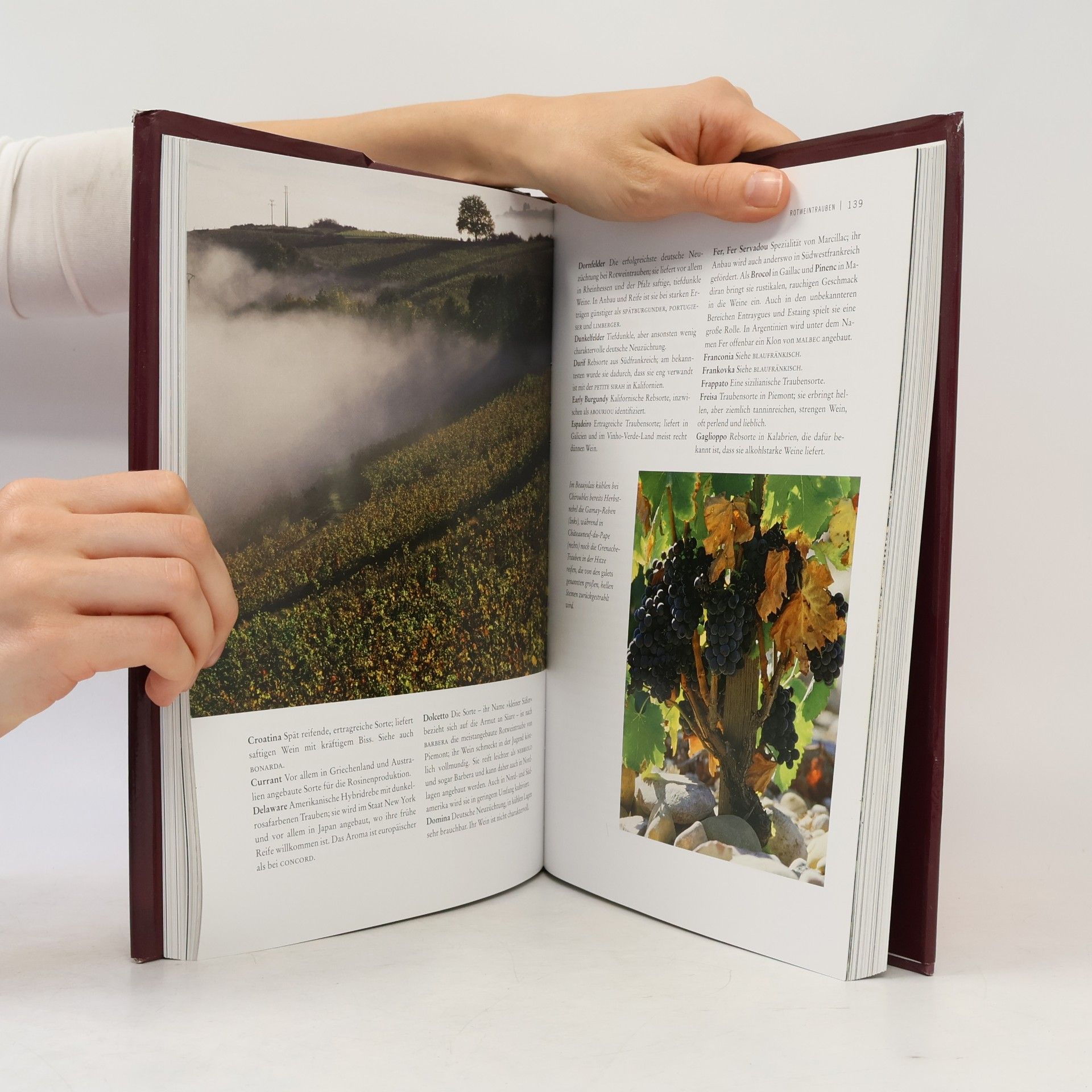 Jancis Robinson Der Weinkurs