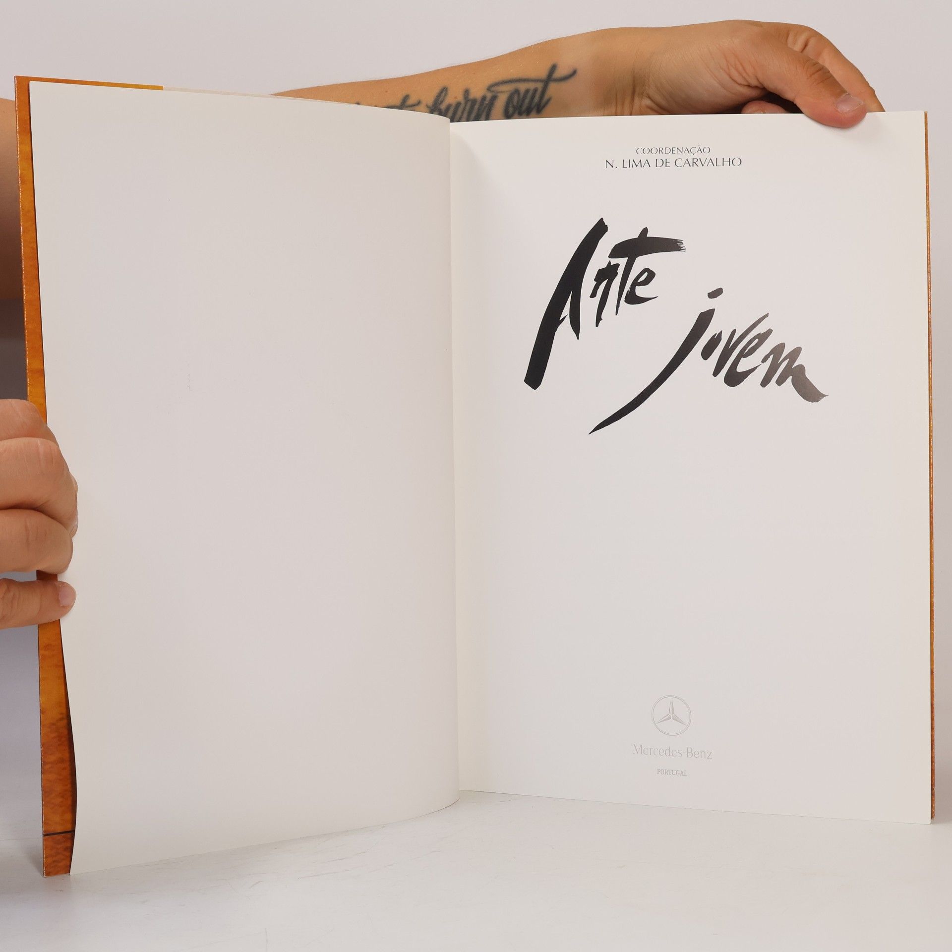 Nuno Lima de Carvalho Arte Jovem