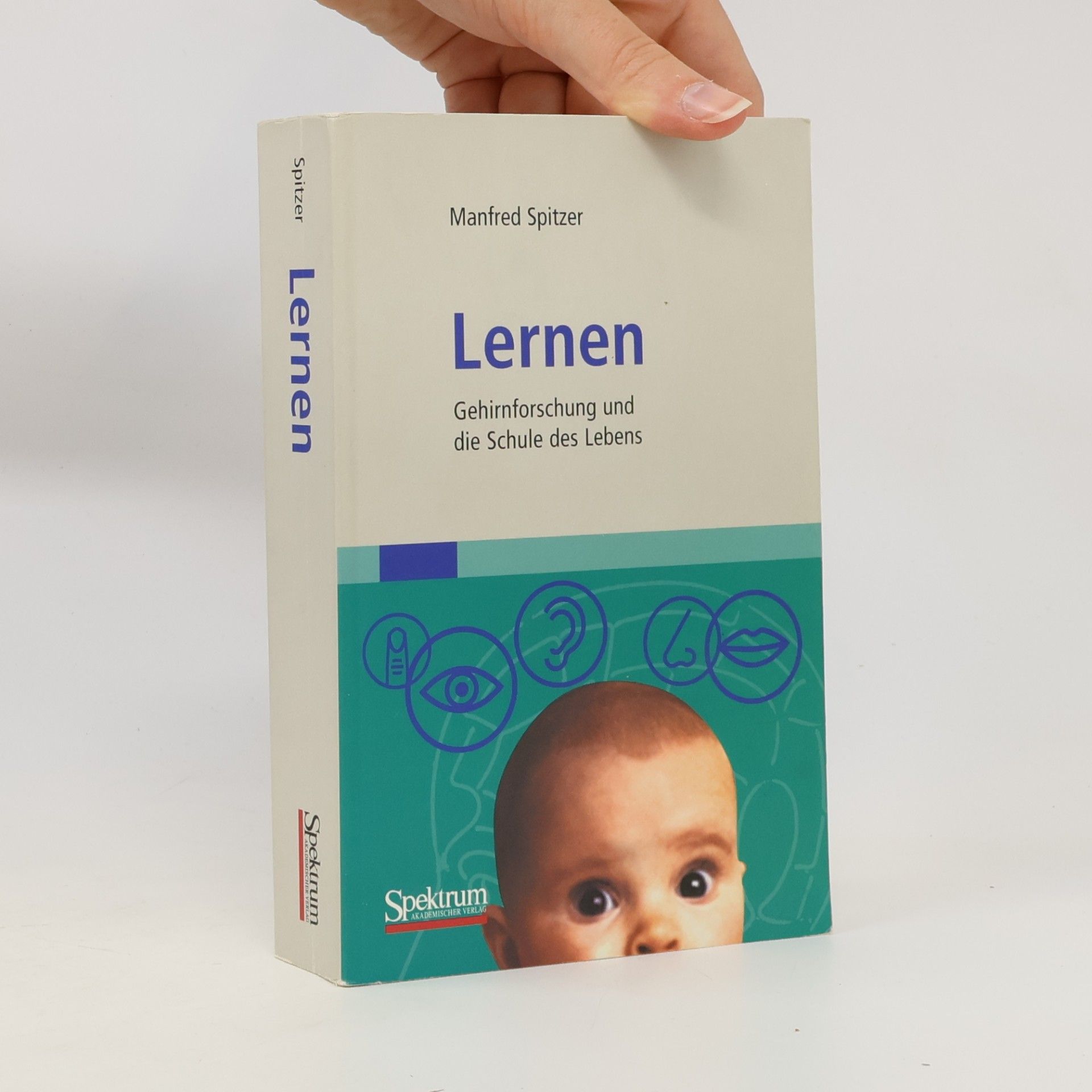 Manfred Spitzer Lernen : Gehirnforschung und die Schule des Lebens
