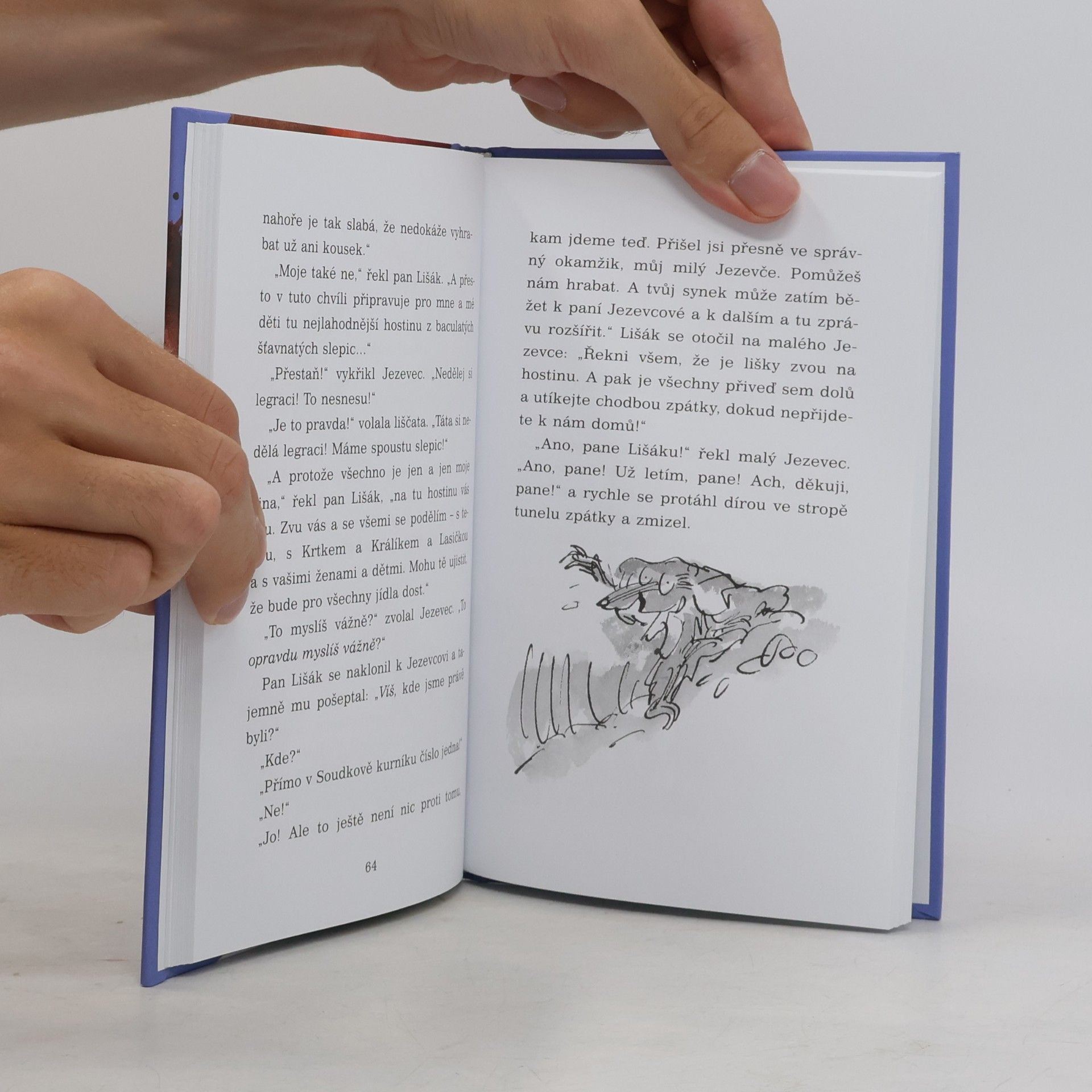 Roald Dahl Fantastický pan Lišák