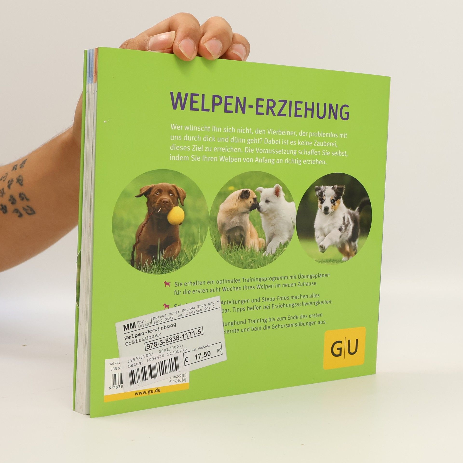 Katharina Schleg Kofler Welpen-Erziehung: Der 8-Wochen-Trainingsplan für Welpen. Plus Junghund-Training vom 5. bis 12. Monat