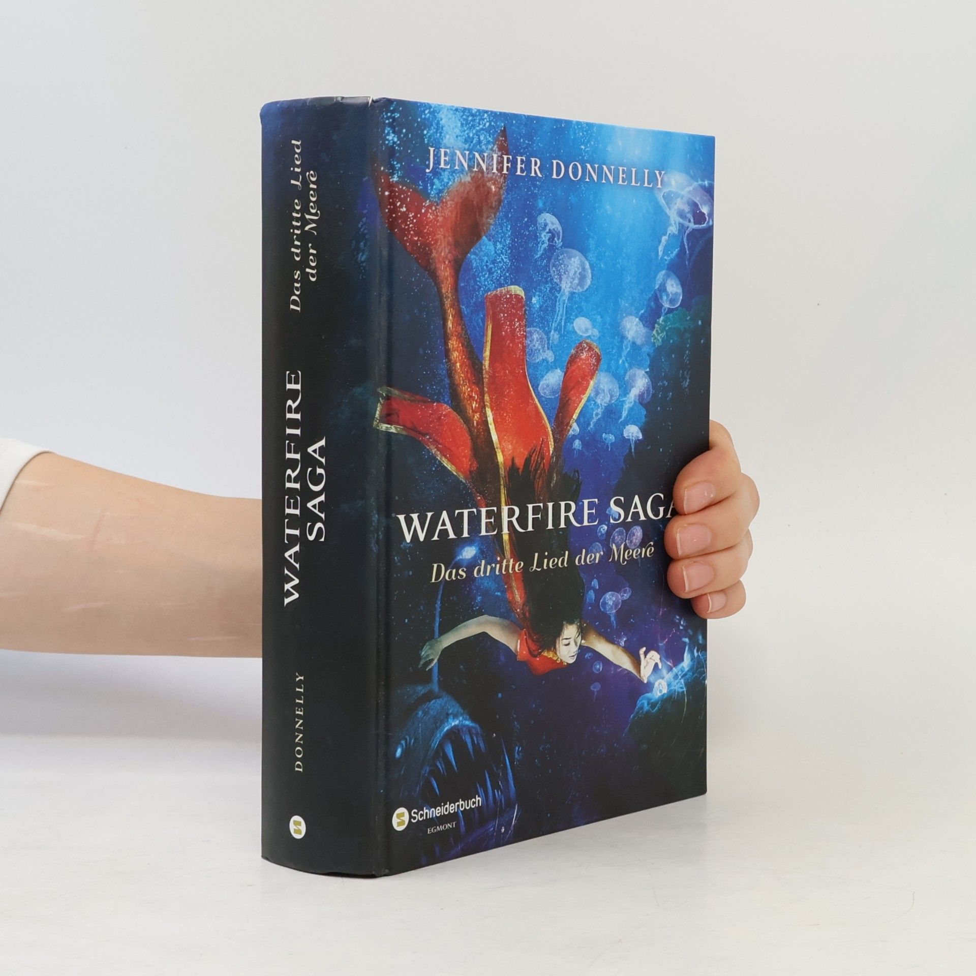 Jennifer Donnelly Waterfire Saga