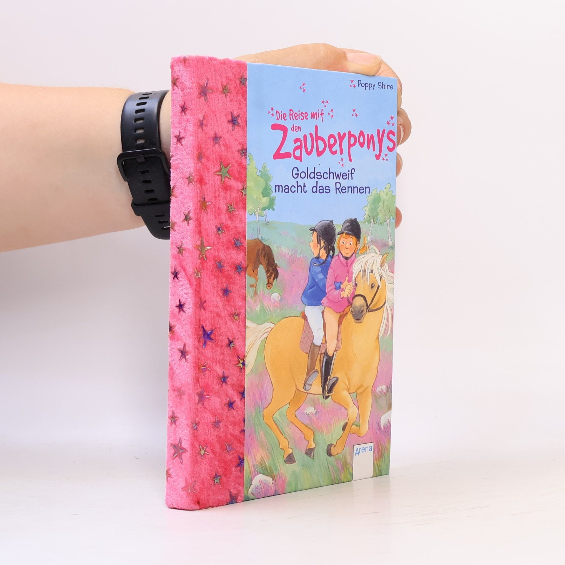Poppy Shire Die Reise mit den Zauberponys. Goldschweif macht das Rennen