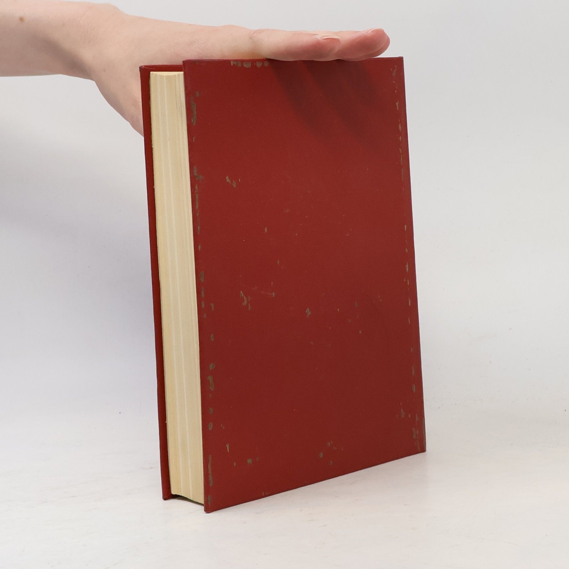 Autorenkollektiv Practical English Dictionary