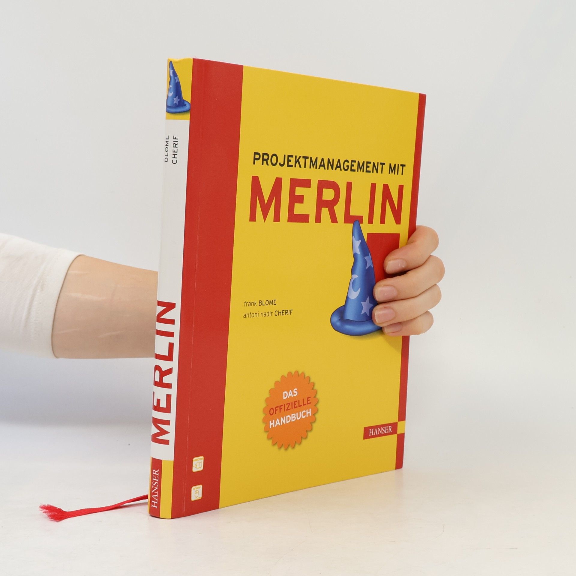 Frank C. Blomeyer Projektmanagement mit Merlin