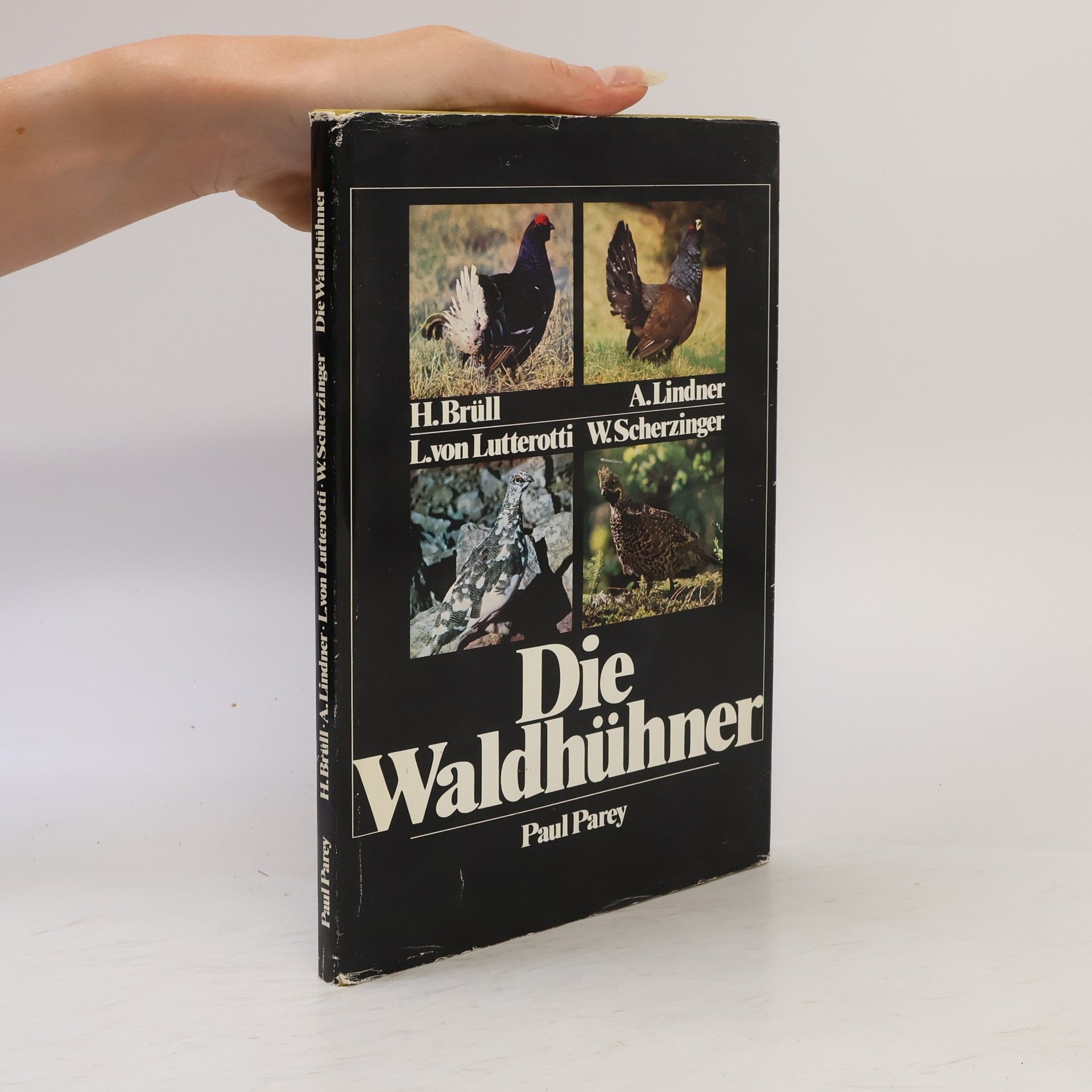 Die Waldhühner