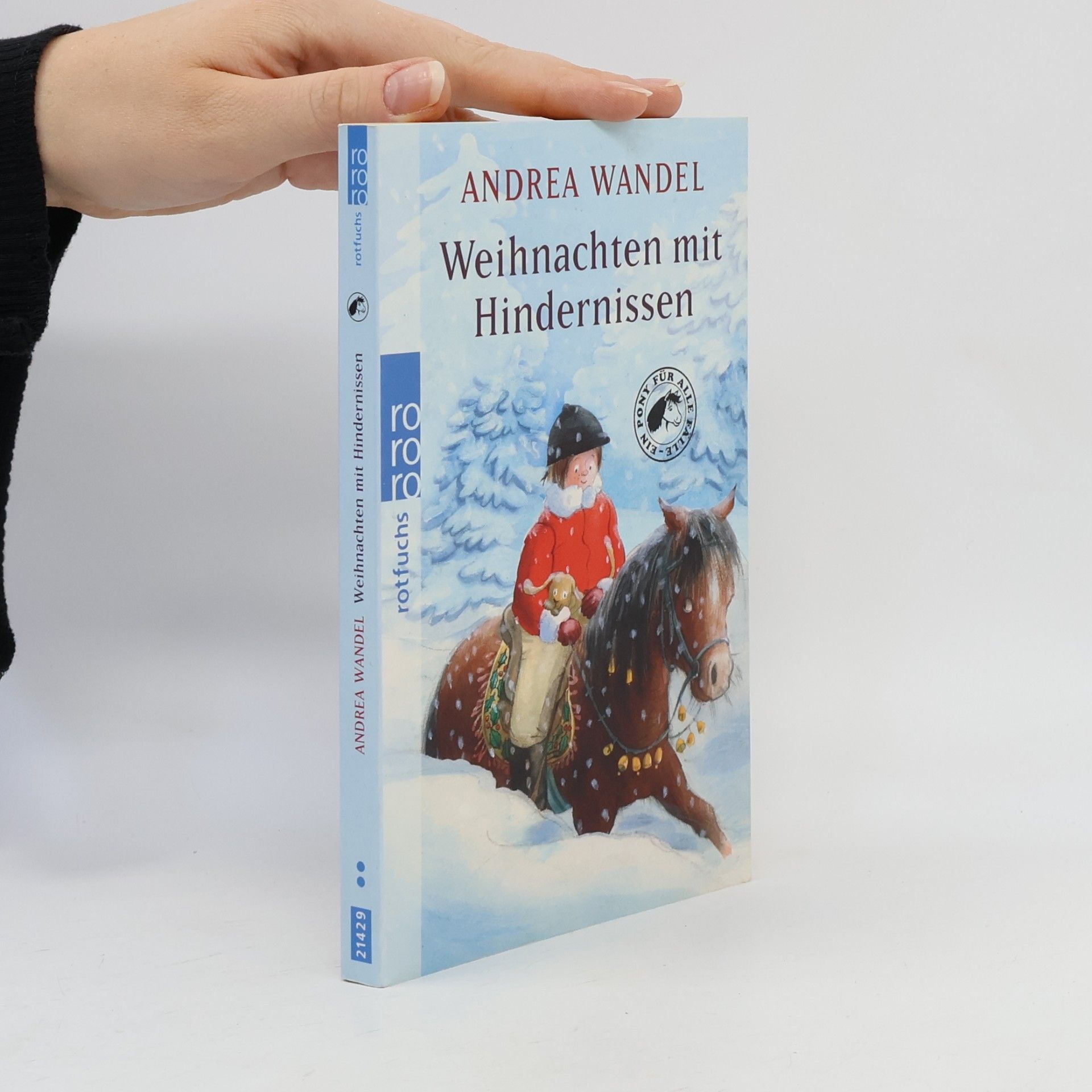 Andrea Wandel Weihnachten mit Hindernissen