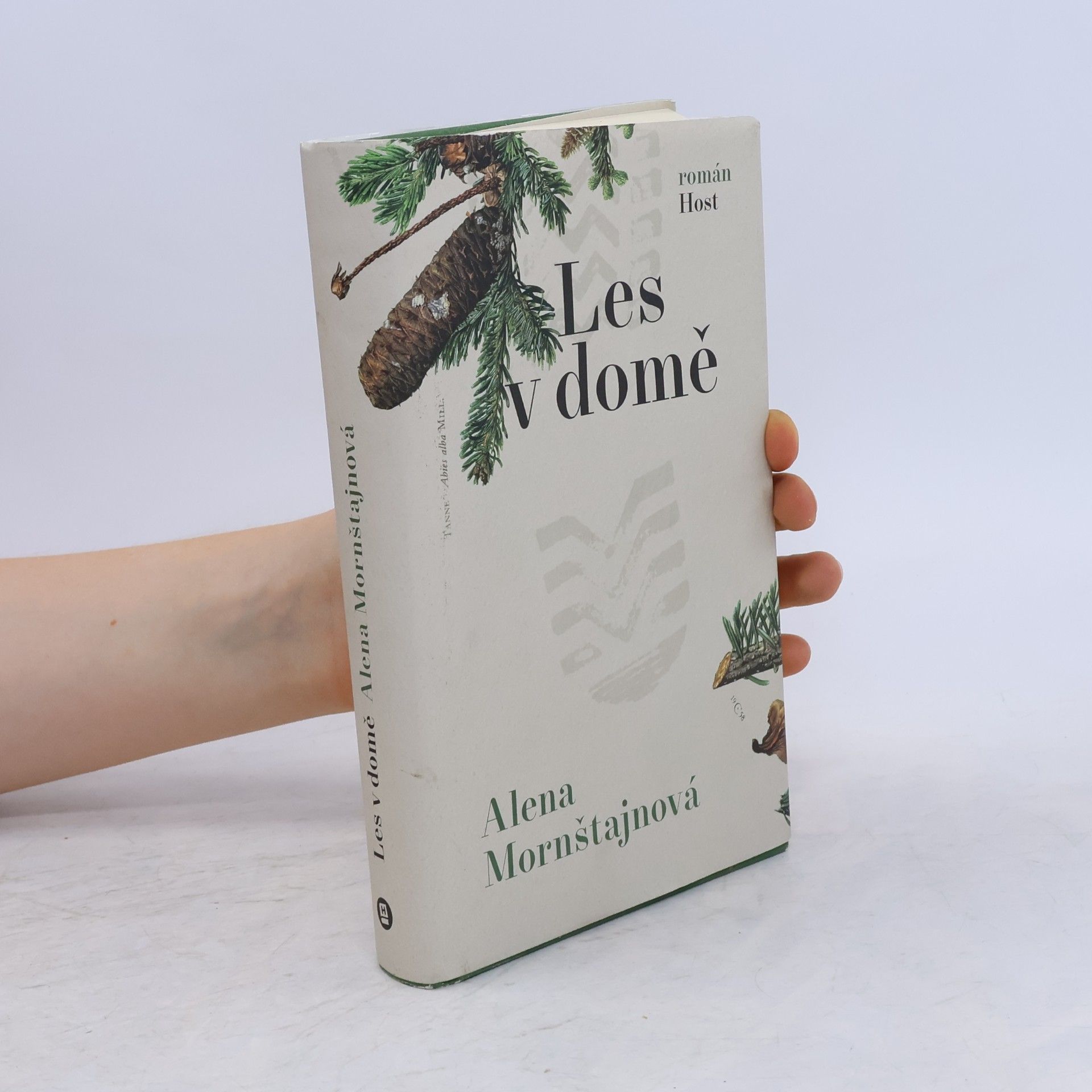 Alena Mornštajnová Les v domě
