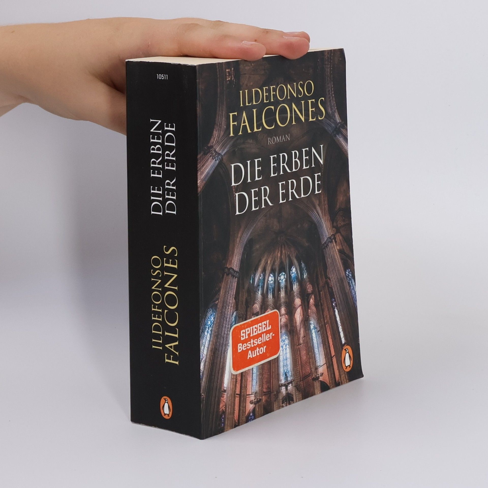 Ildefonso Falcones Die Erben der Erde