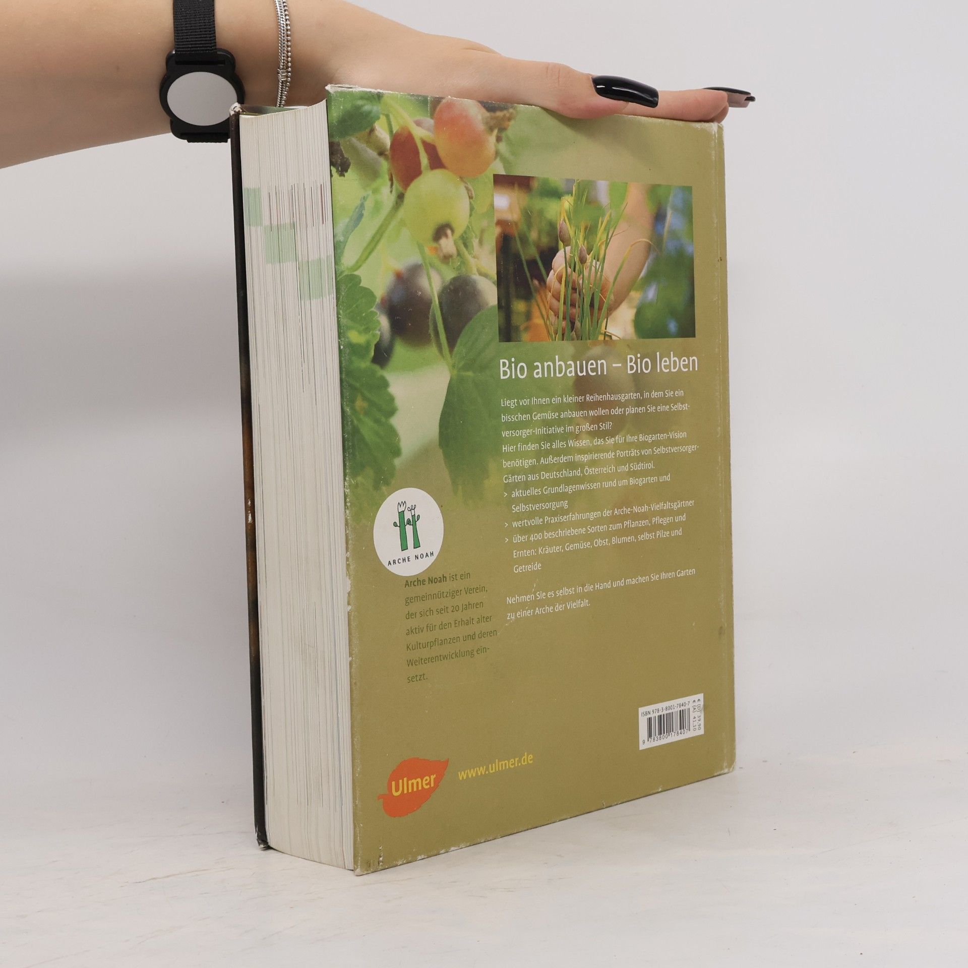 Andrea Heistinger Das große Biogarten-Buch
