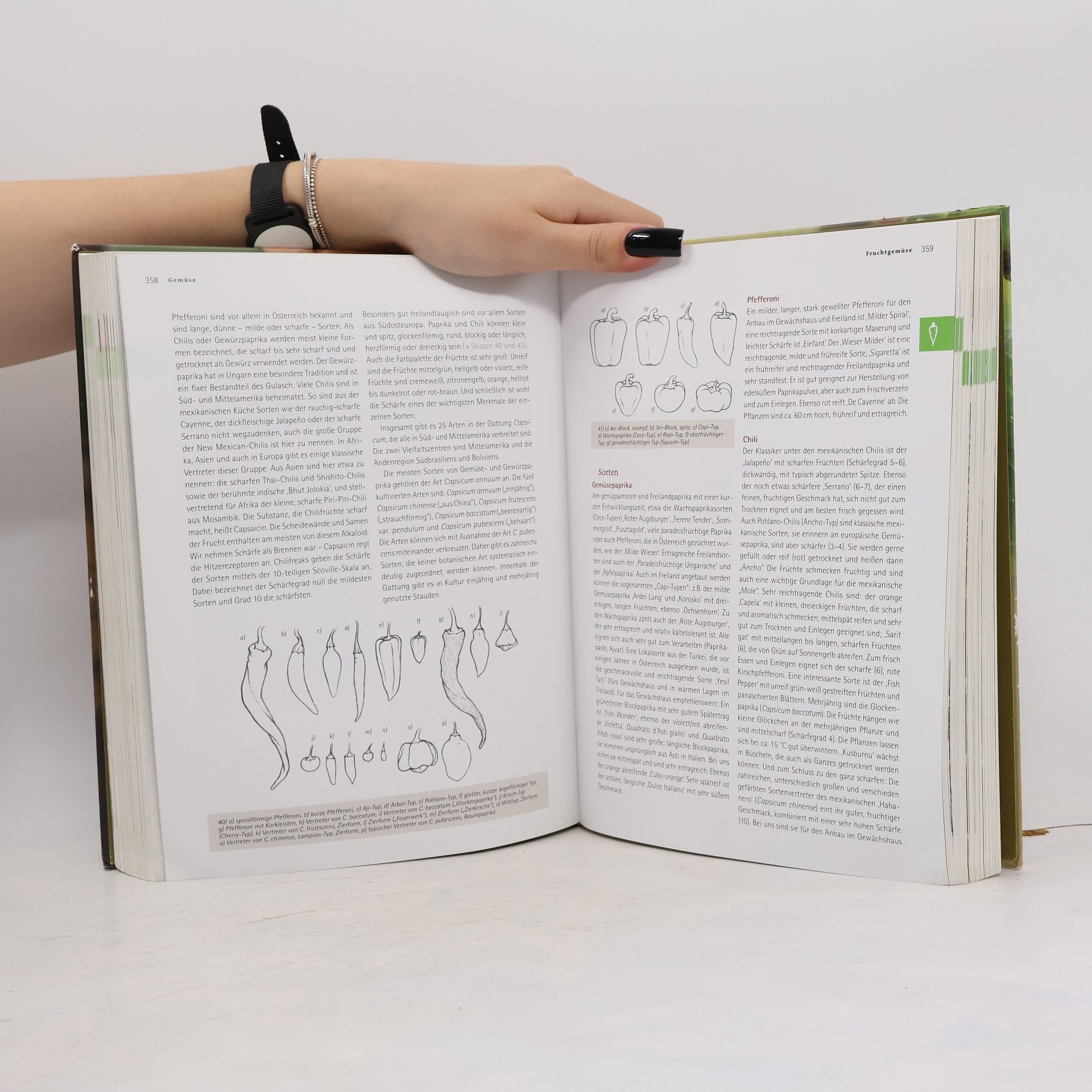 Andrea Heistinger Das große Biogarten-Buch