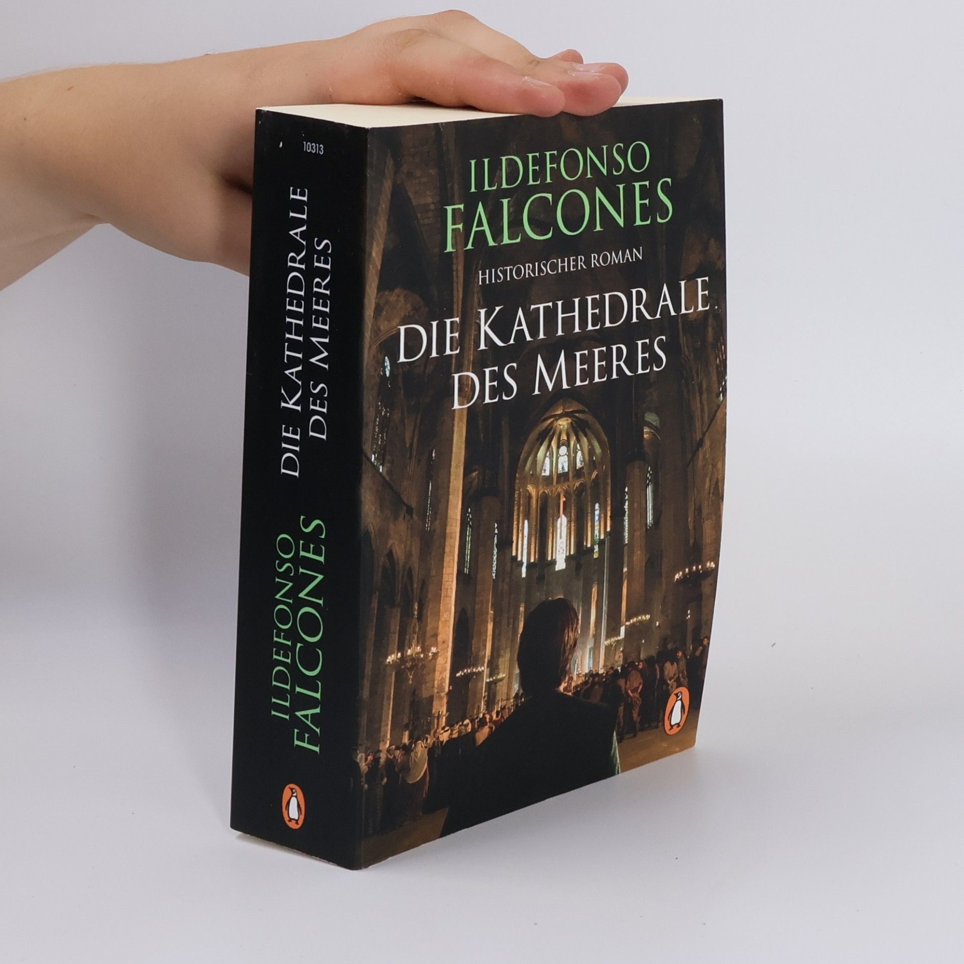Ildefonso Falcones Die Kathedrale des Meeres