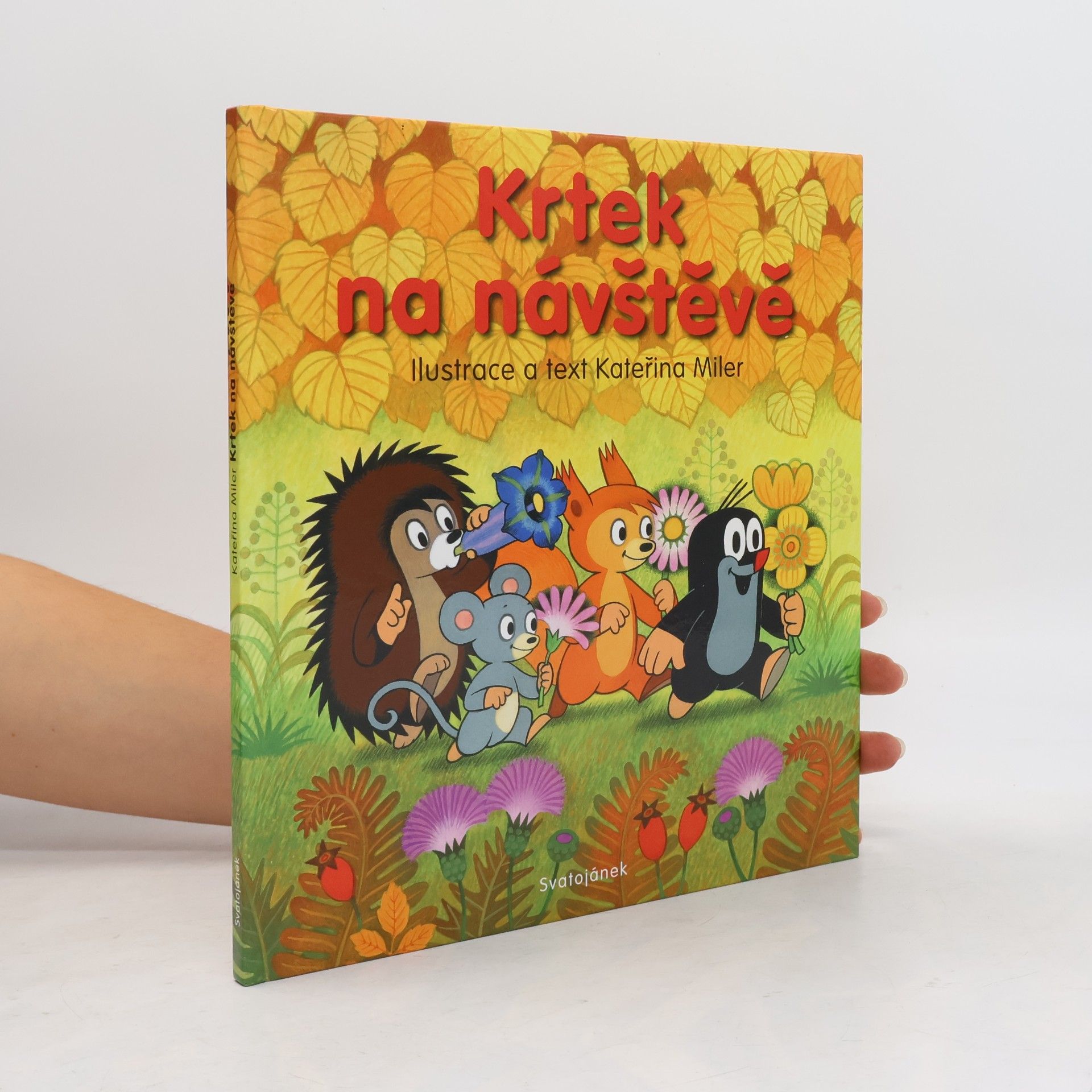 Kateřina Lovis-Miler Krtek na návštěvě